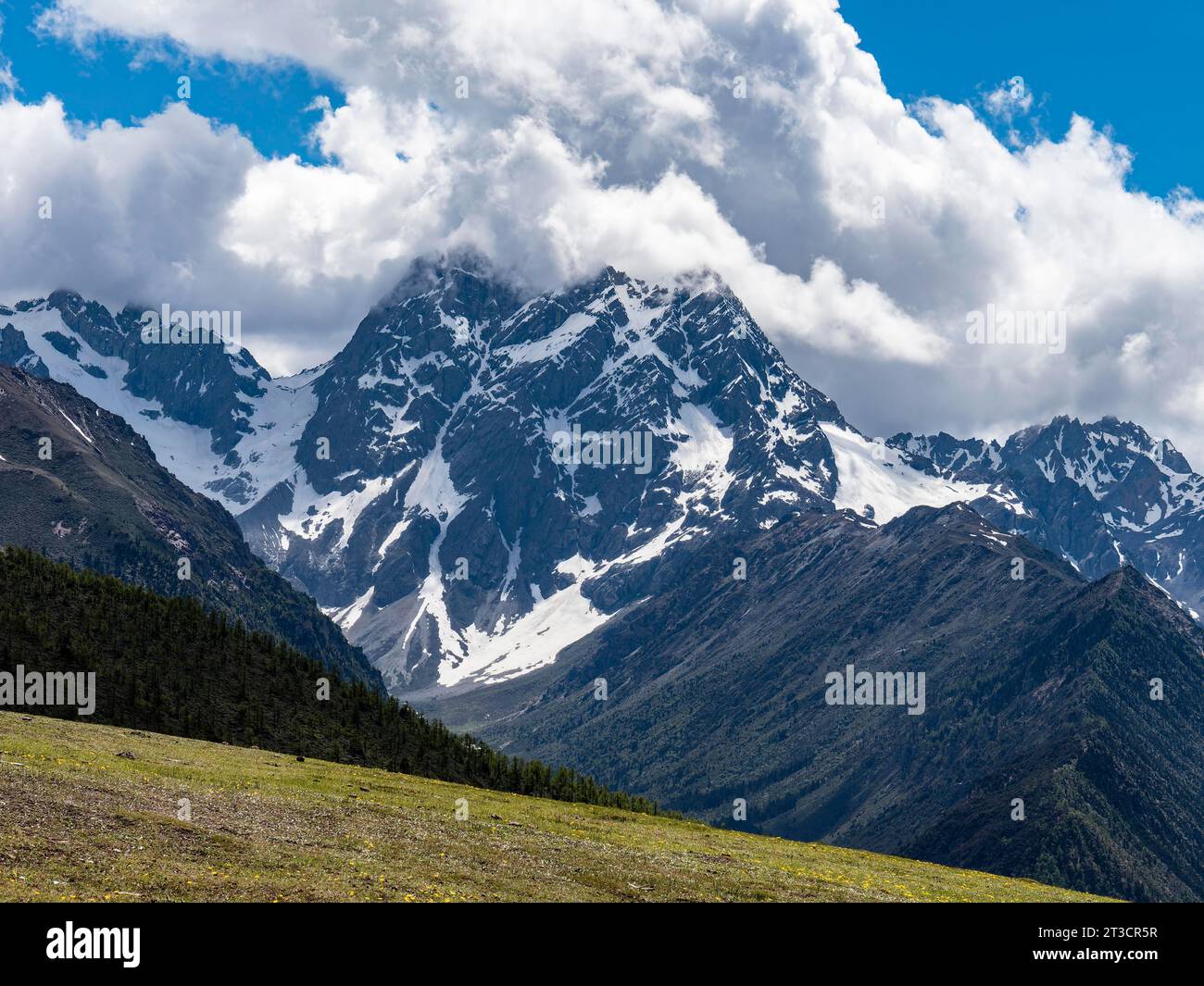 Mountain ranges with snow and meadows with yellow flowers in the highlands of eastern Tibet, China Stock Photo