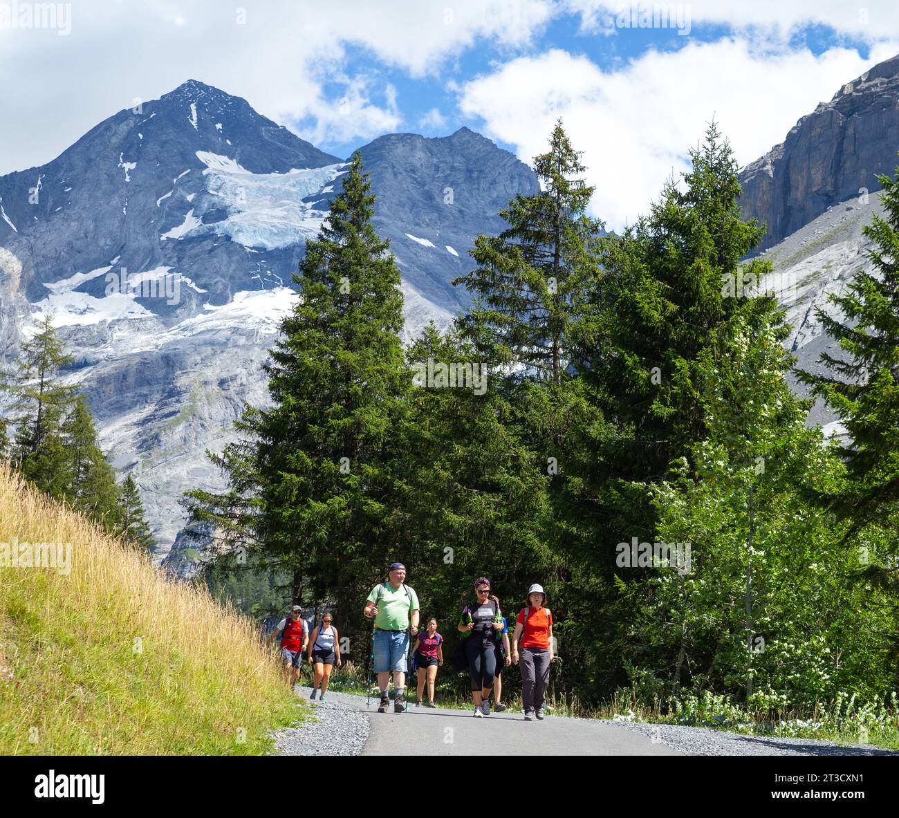 Kandersteg, Switzerland–Aug 3,2023: White people hiking in the Alps with snow mountain and pine trees Stock Photo