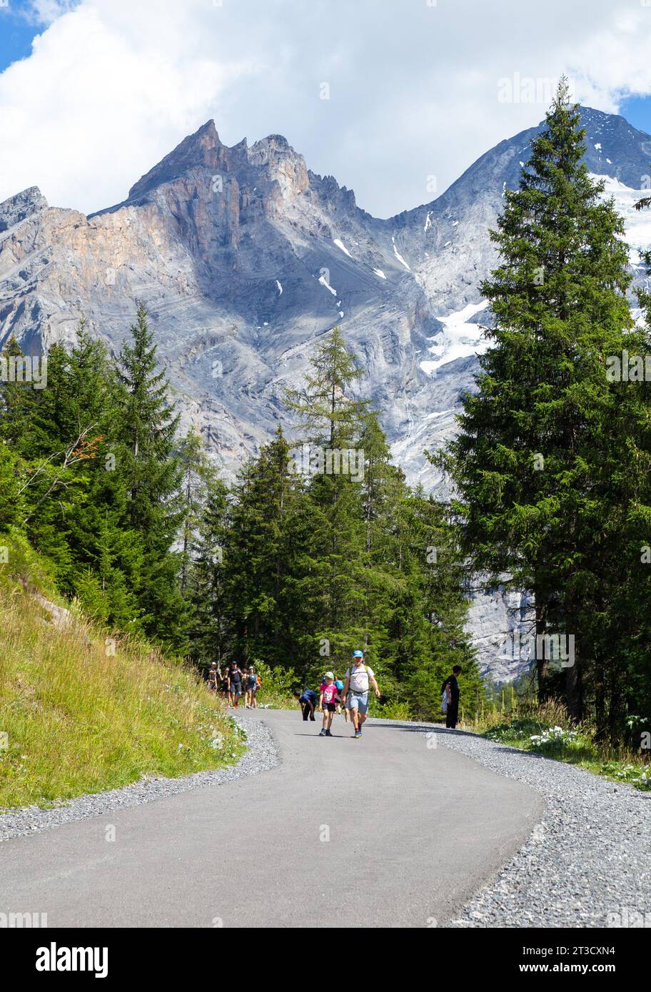 Kandersteg, Switzerland–Aug 3,2023: White people hiking in the Alps with snow mountain and pine trees Stock Photo