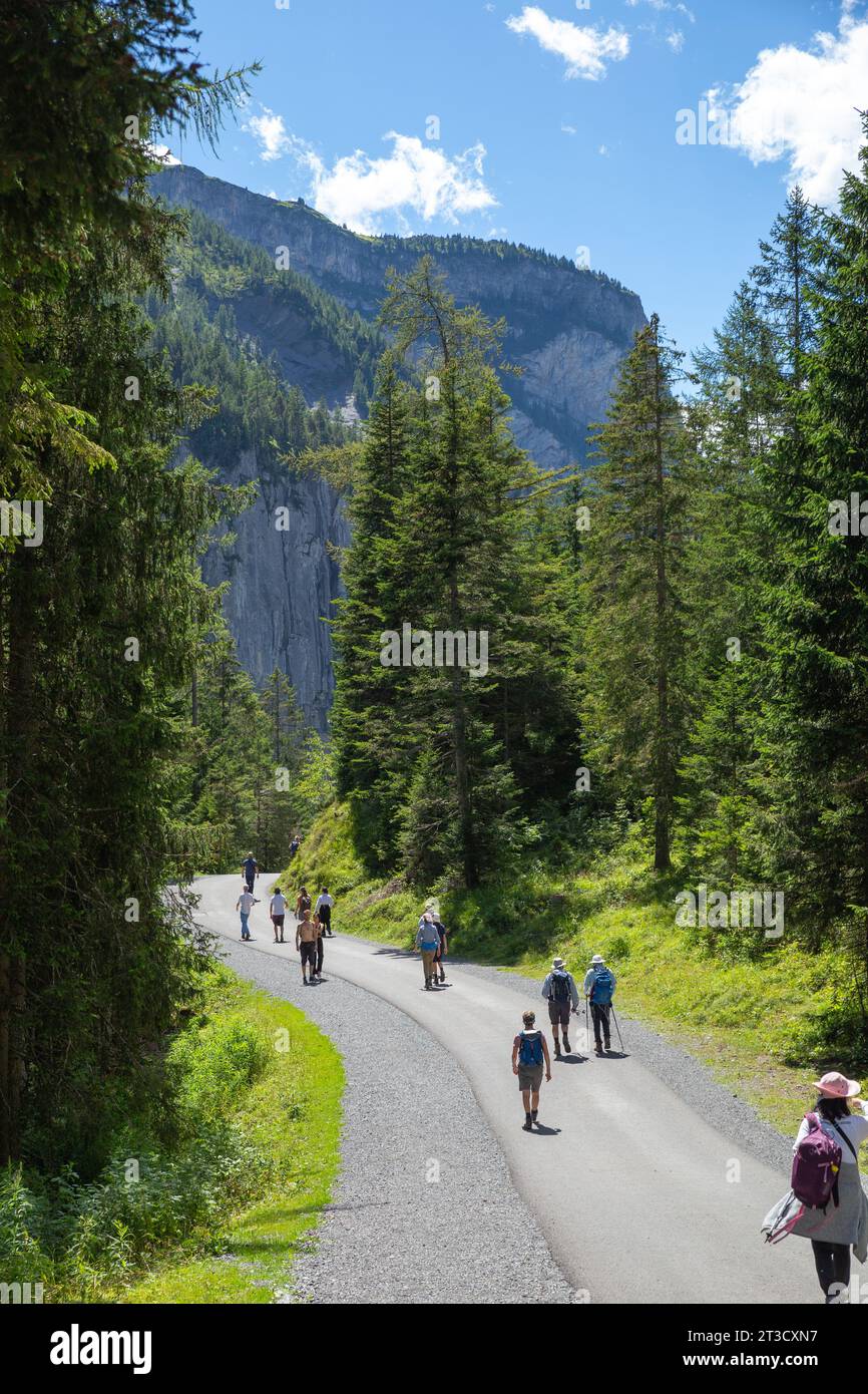 Kandersteg, Switzerland–Aug 3,2023: group of people hiking in the Alps with mountain and pine tree forest Stock Photo