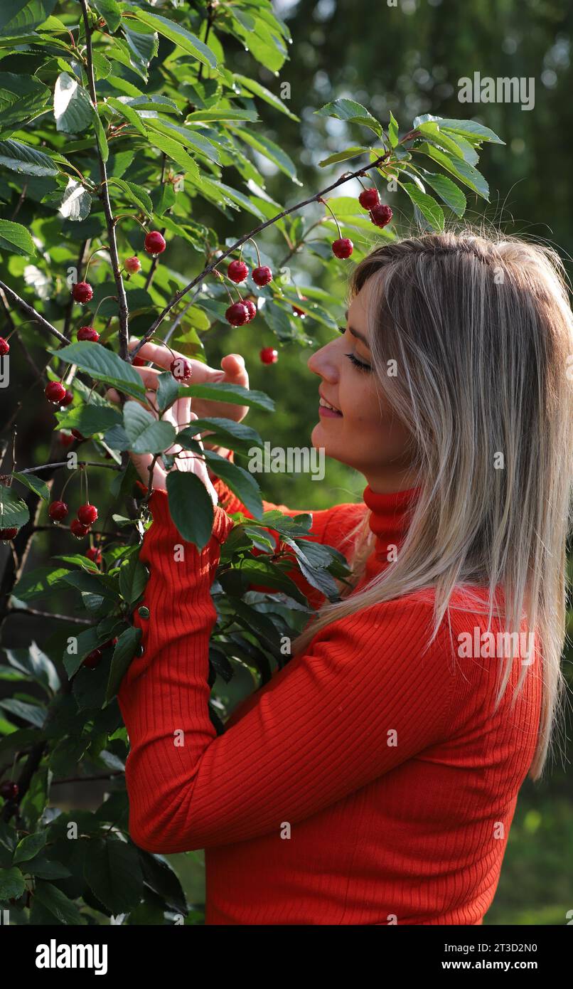 portrait of a beautiful girl in a cherry garden Stock Photo - Alamy