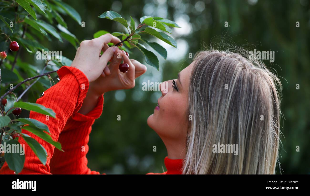 portrait of a beautiful girl in a cherry garden Stock Photo - Alamy