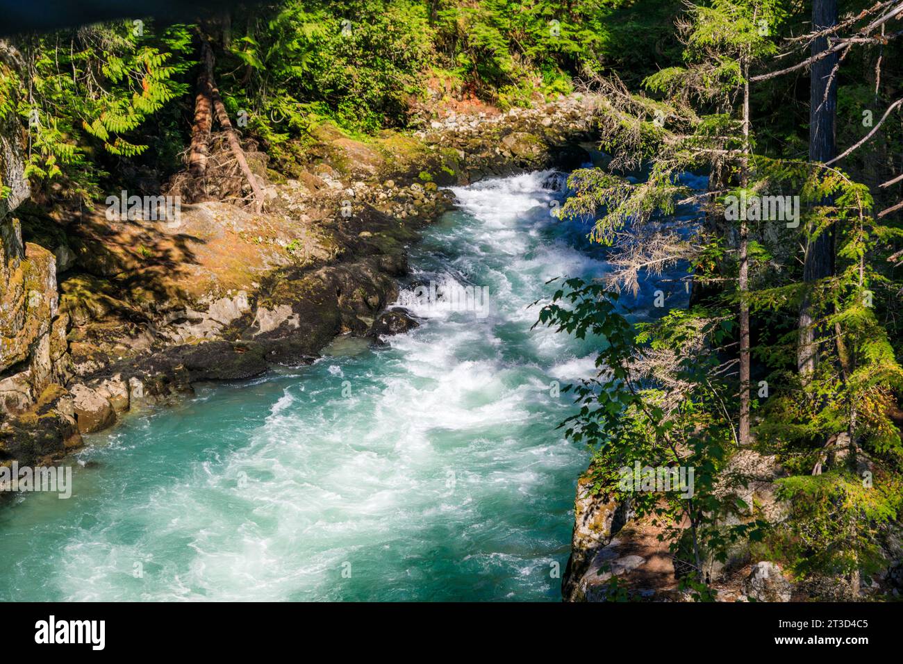 Rushing waters of the Cheakamus River in summer on the outskirts of Whistler, British Columbia, Canada. Stock Photo
