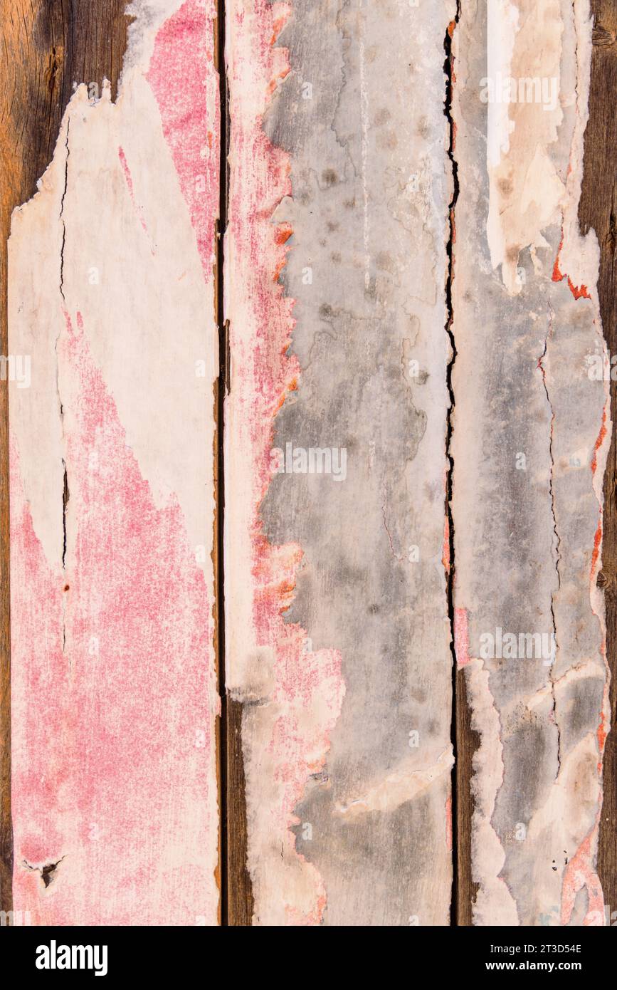 A weathered pink fence in Arles, France, shows peeling pink paint on its vertical planks, with brown wood beneath. Stock Photo