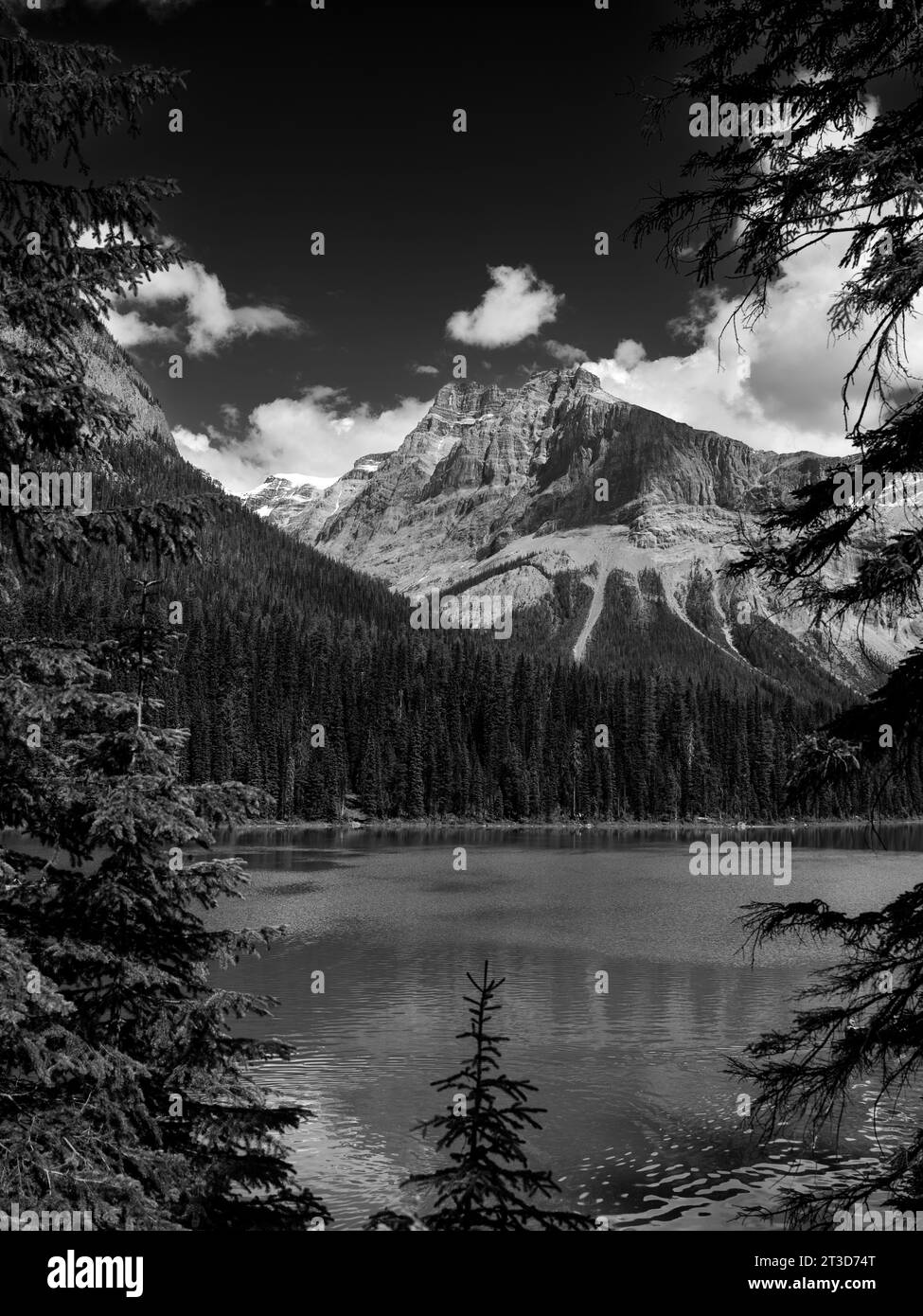 Yoho National Park in British Columbia, Canada Stock Photo Alamy