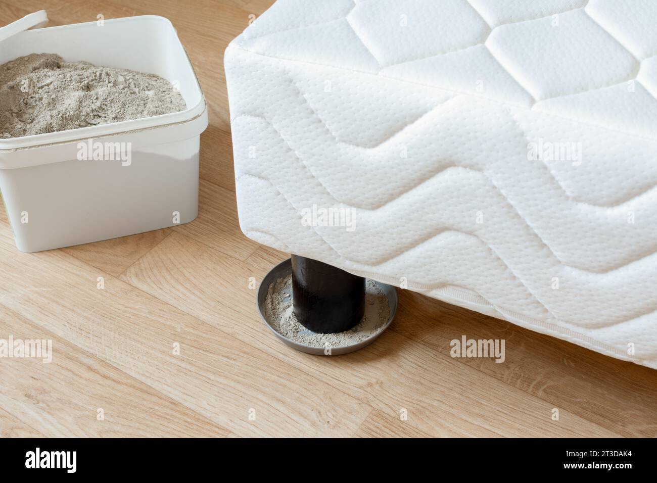 “Homemade” traps for bedbugs. Diatomaceous earth in a saucer under the bed legs Stock Photo Alamy