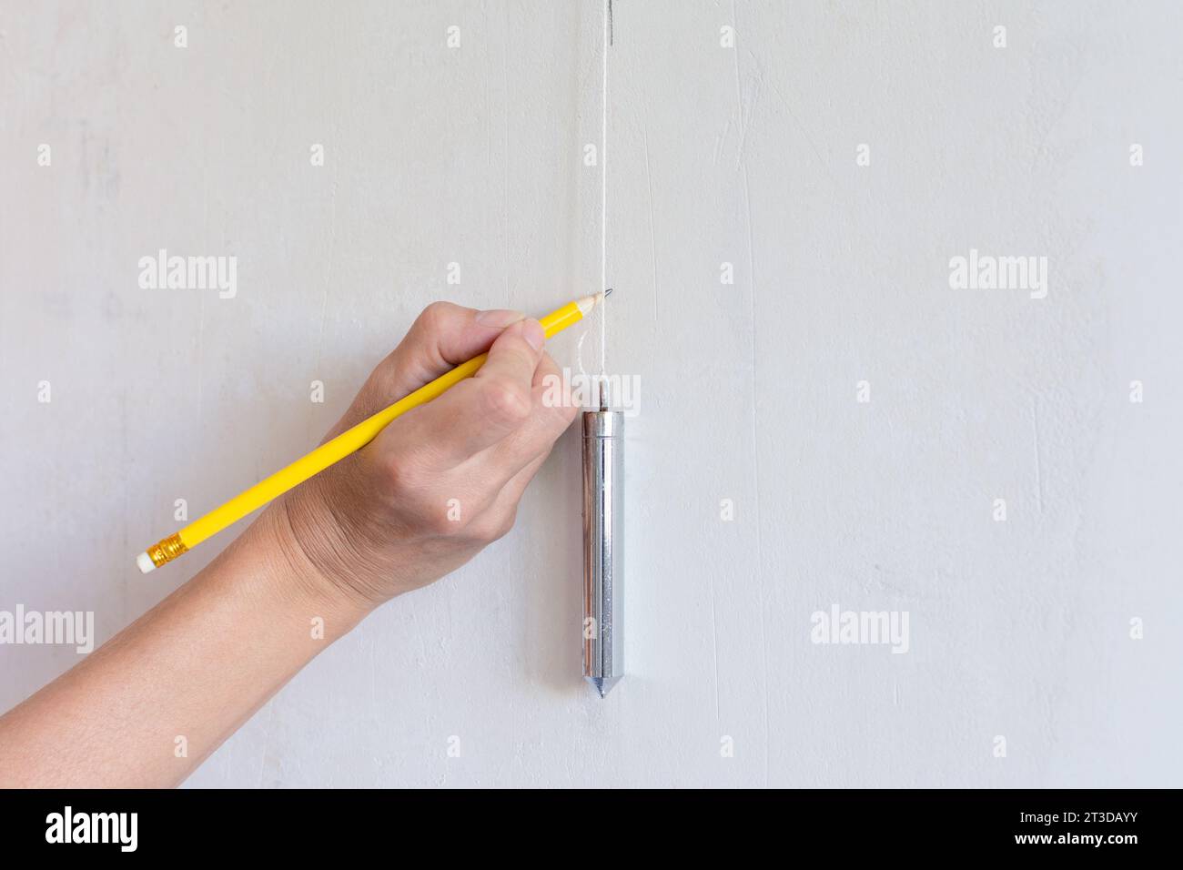 Installing wallpaper. Upholsterer's plumb line Stock Photo Alamy