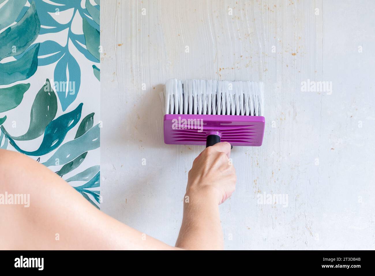 Installing wallpaper. Gluing the wall Stock Photo Alamy