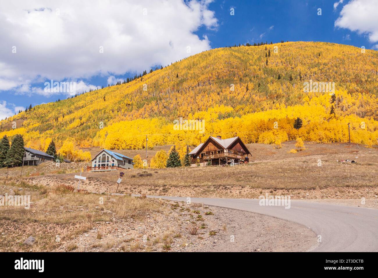 Autumn Color with Aspens turning yellow and orange at the National