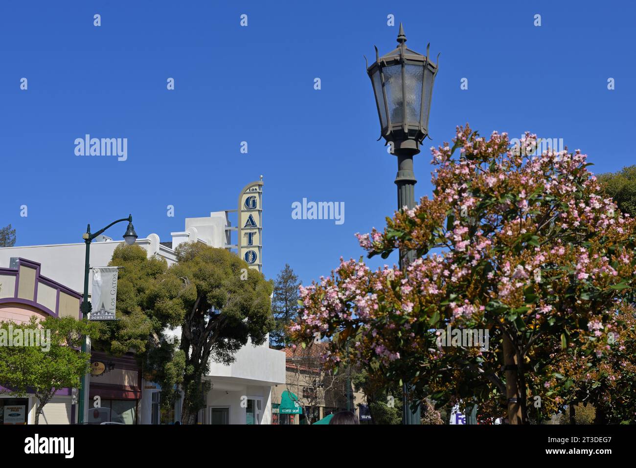 The historic los gatos theater movie hall in downtown silicon valley