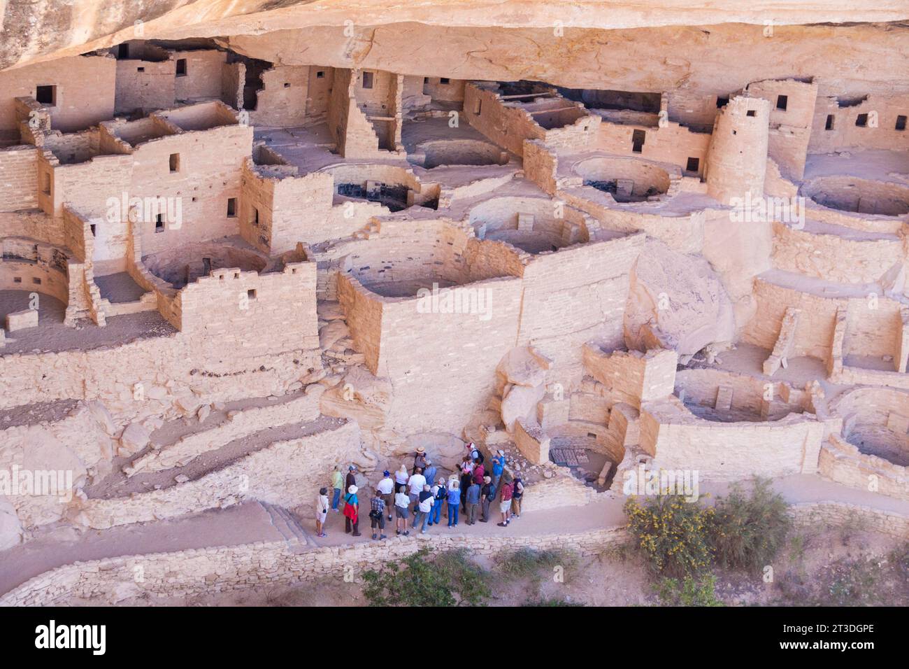 Ancient cliff dwellings in Mesa Verde National Park in Colorado date ...