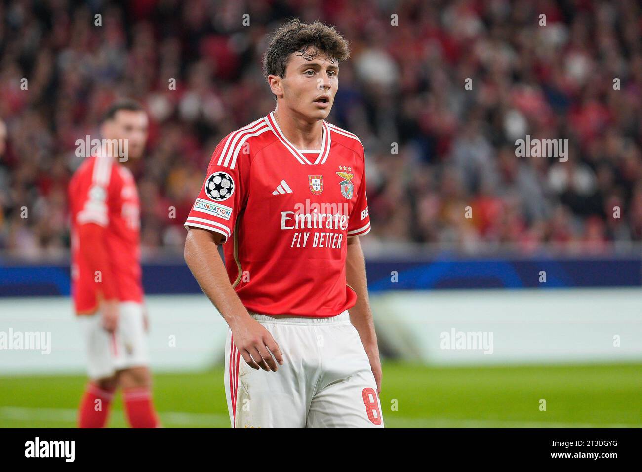 Joao Neves of Portugal in action during the UEFA EURO 2024 European News  Photo - Getty Images