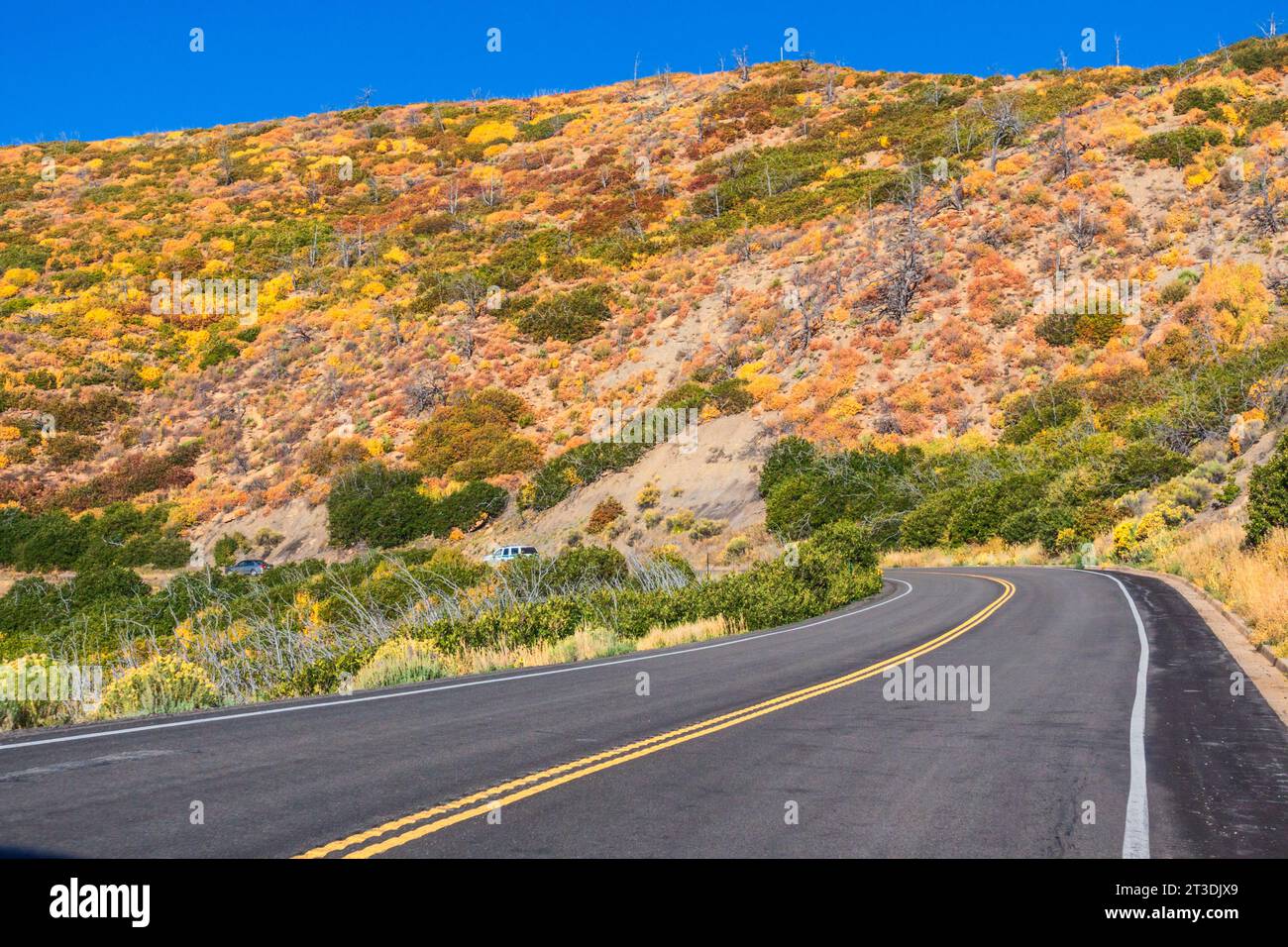 Autumn at Mesa Verde National Park in Colorado. Mesa Verde was ...
