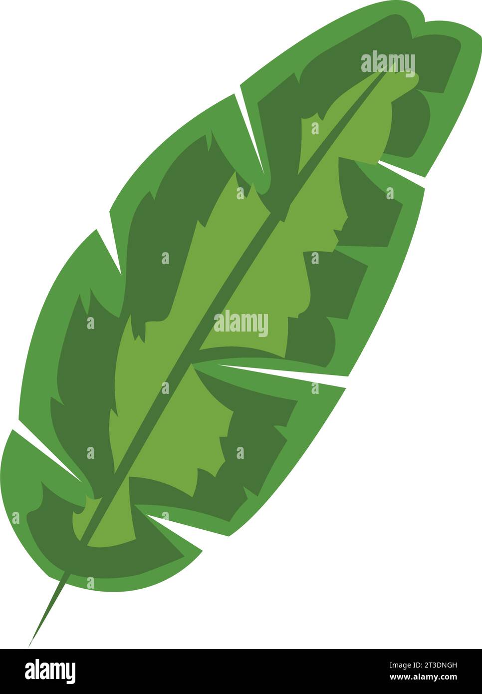 palm leaf isolated Stock Vector