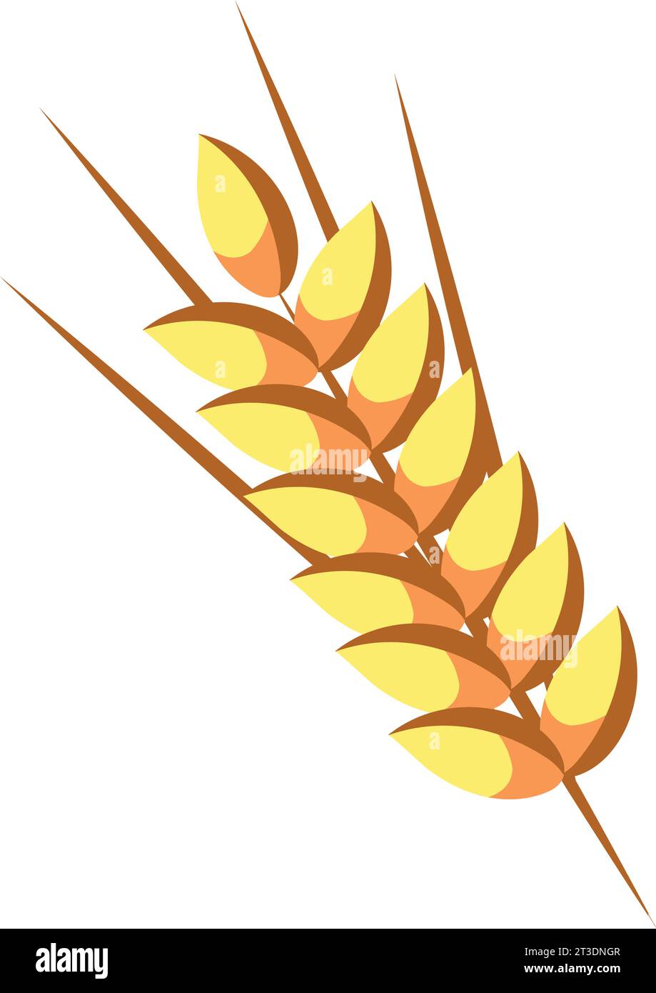 wheat spike nature Stock Vector