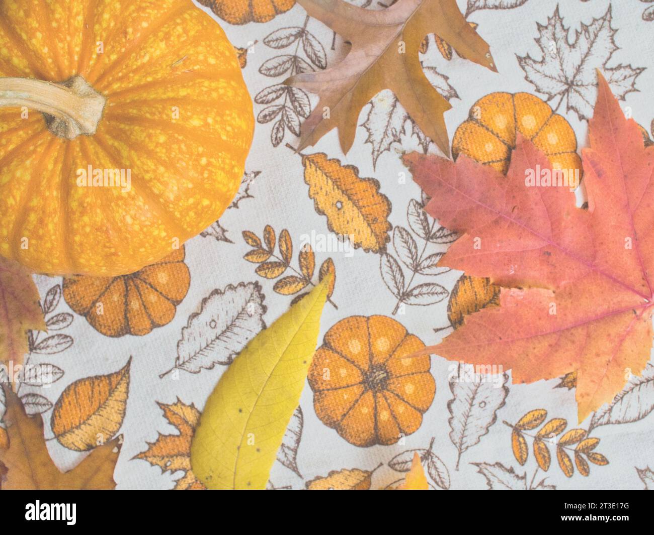 Desaturated faded image of pumpkin gourd with colorful fall leaves for background or with text. Festive autumn imagery for Halloween or Thanksgiving. Stock Photo