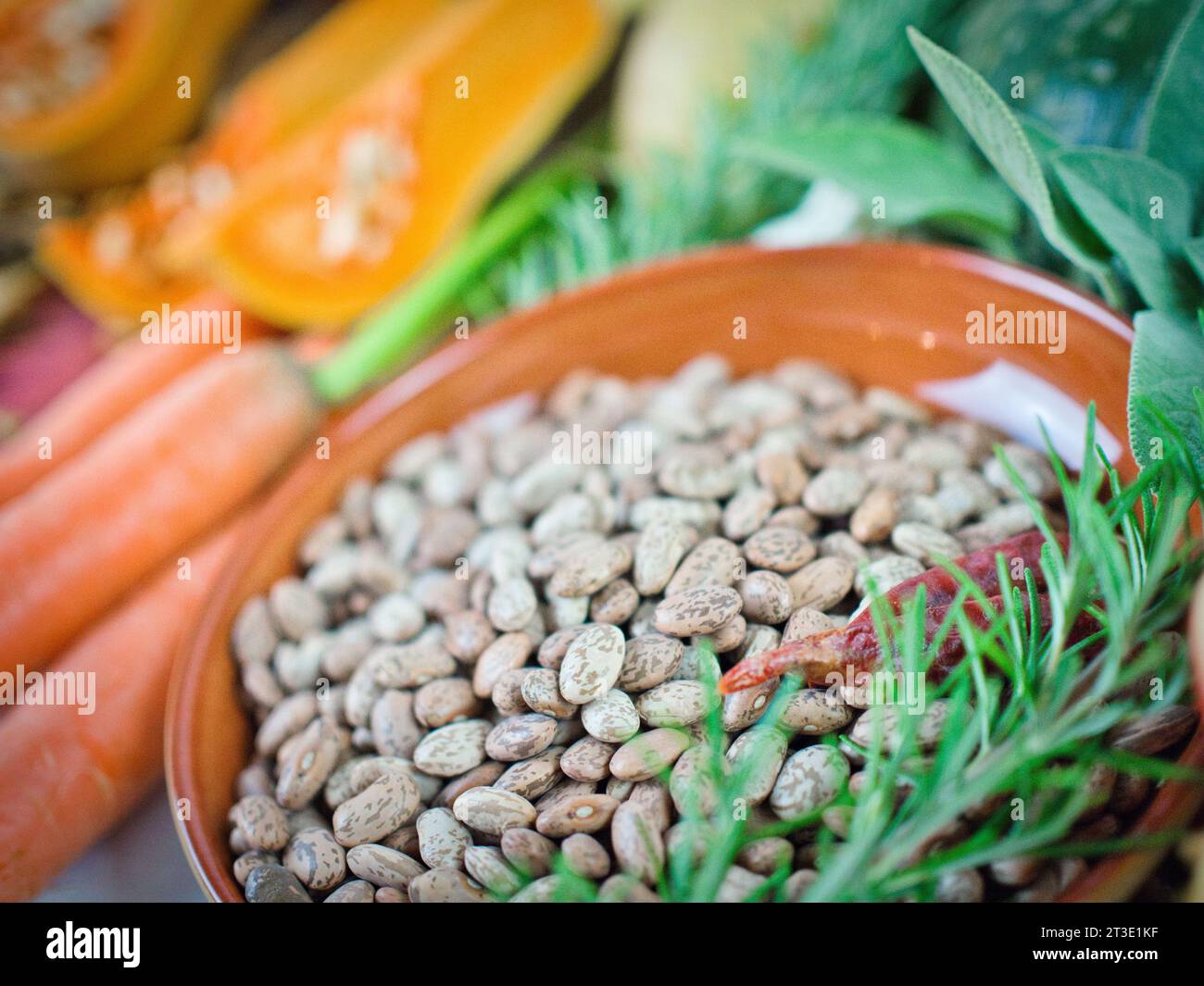 Beautiful ingredients array of colorful vegetarian ingredients with pinto bean legume protein for fall, Thanksgiving, or year round healthy diet. Stock Photo