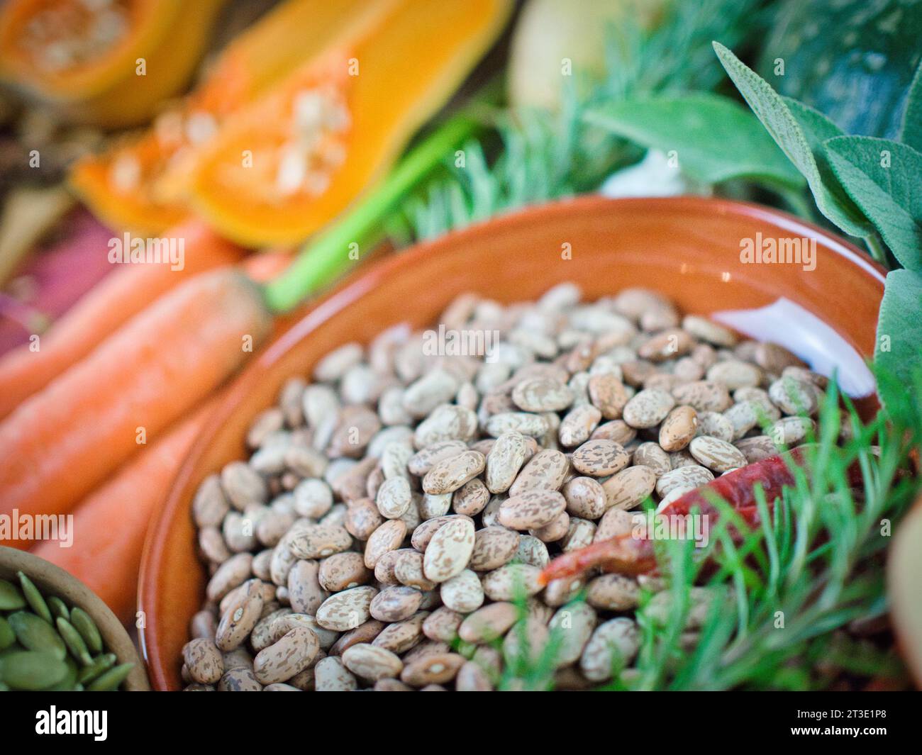 Beautiful ingredients array of colorful vegetarian ingredients with pinto bean legume protein for fall, Thanksgiving, or year round healthy diet. Stock Photo