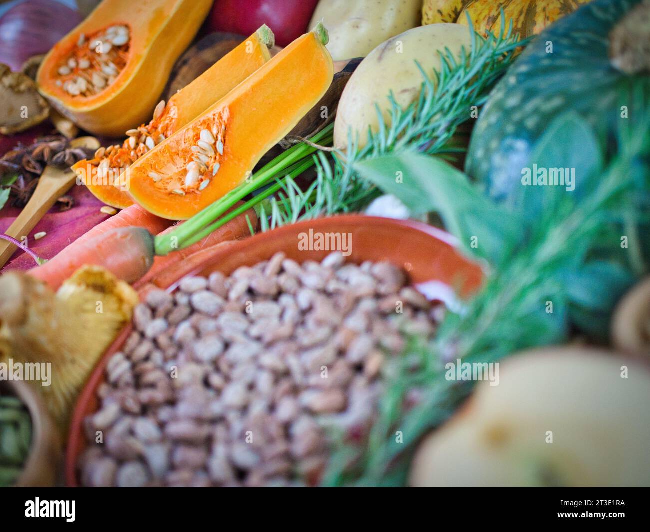 Beautiful ingredients array of colorful vegetarian ingredients with pinto bean legume protein for fall, Thanksgiving, or year round healthy diet. Stock Photo