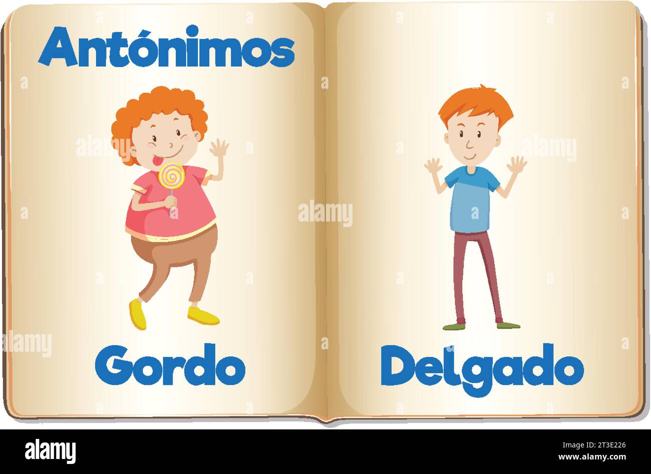 Illustrated picture word card for fat and thin in Spanish Stock Vector