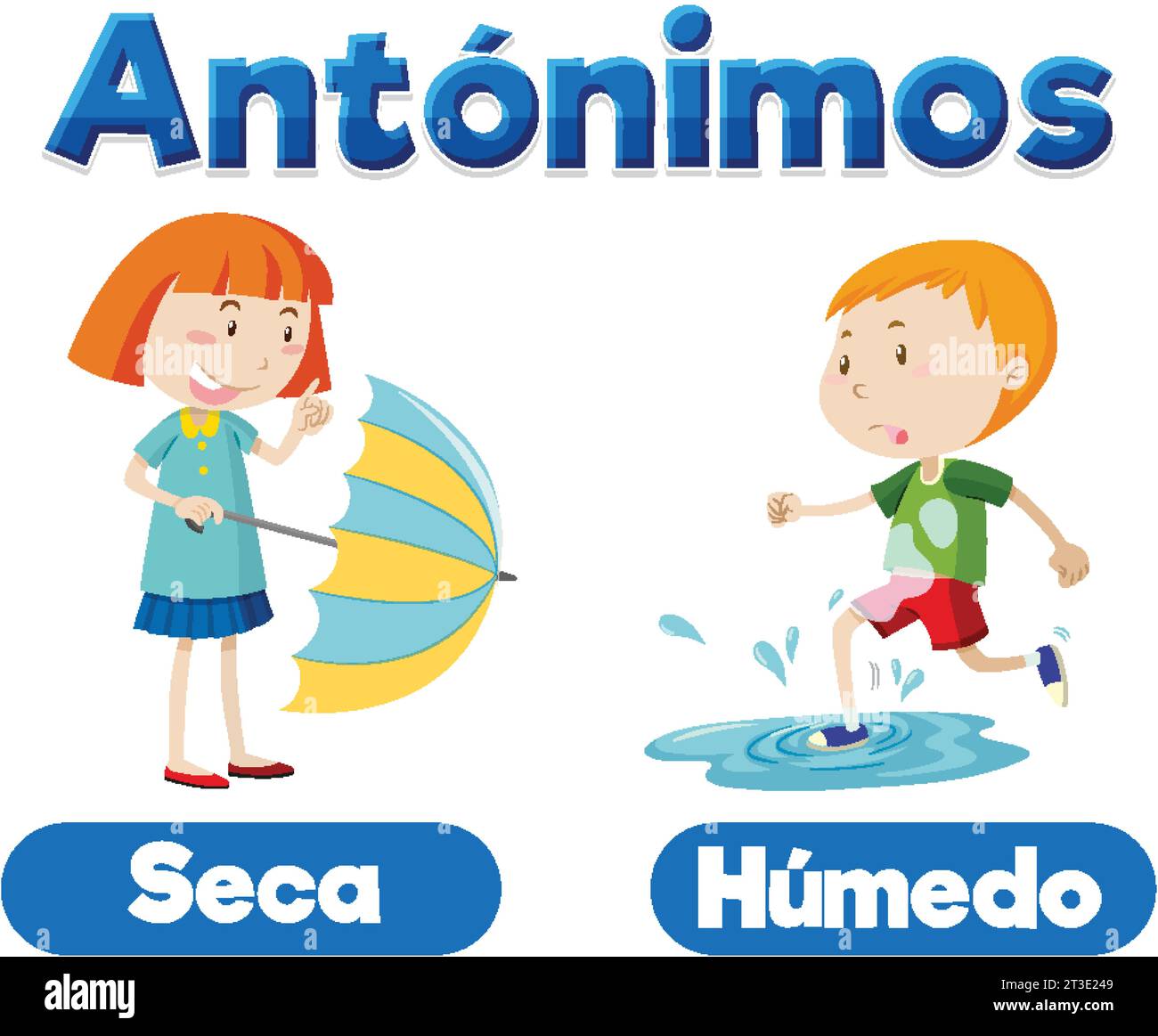 Illustrated word card in Spanish showing the antonyms Seca (dry) and