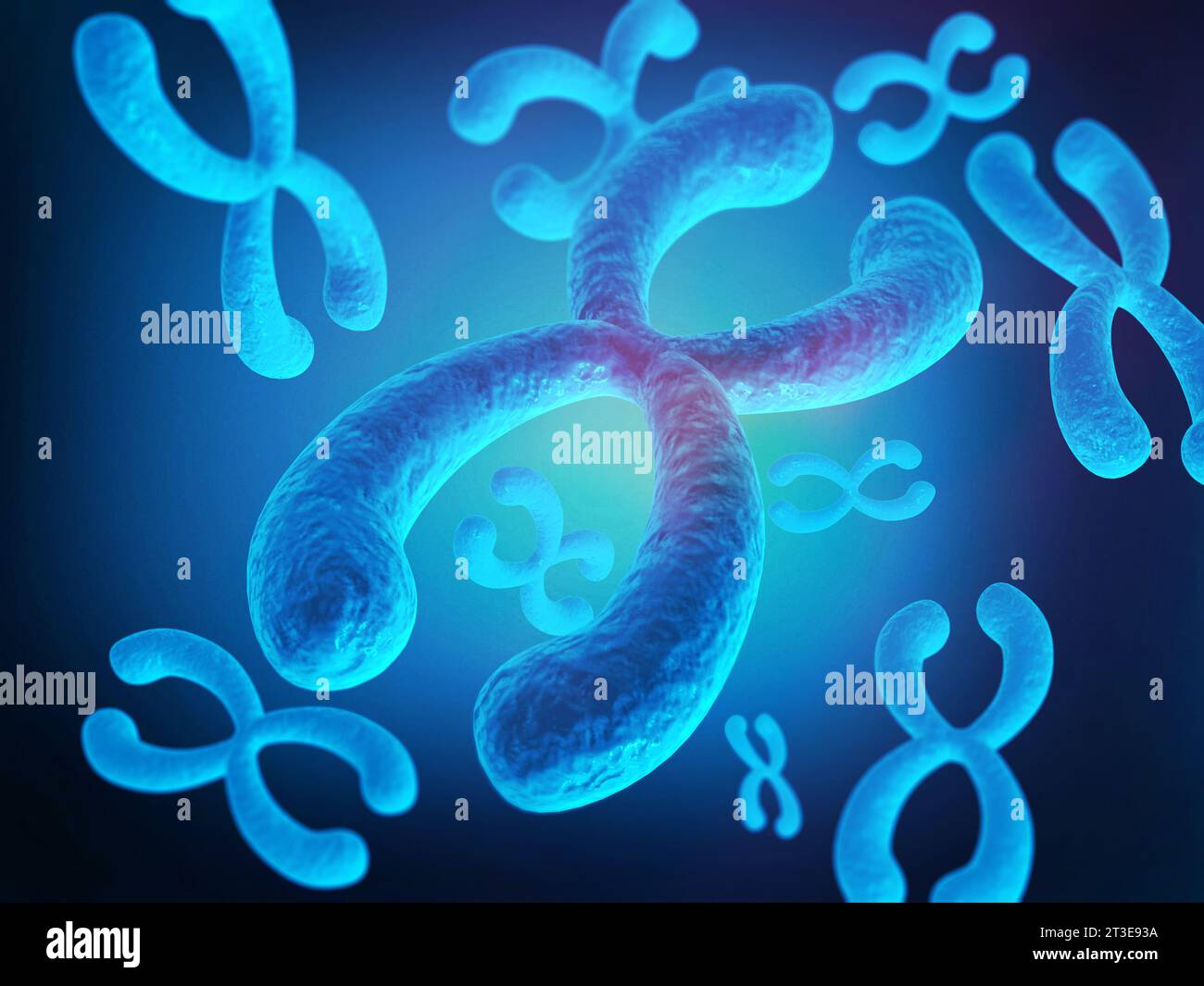 chromosomes , X chromosomes,  Genetics concept. 3d render Stock Photo