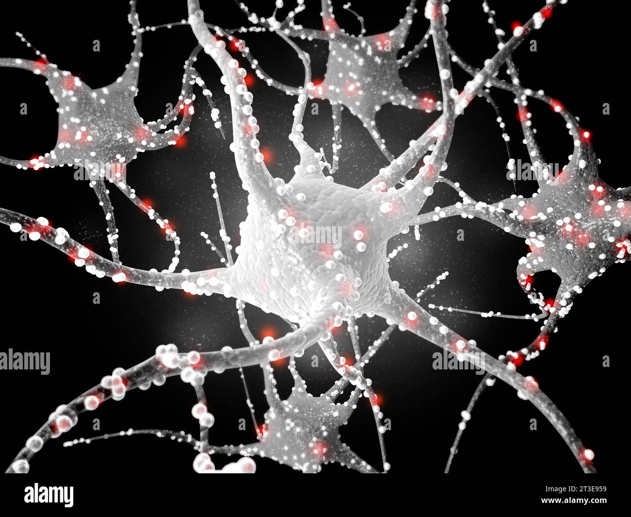 Neural network in the brain. nervous system , Neurons. 3d render Stock Photo