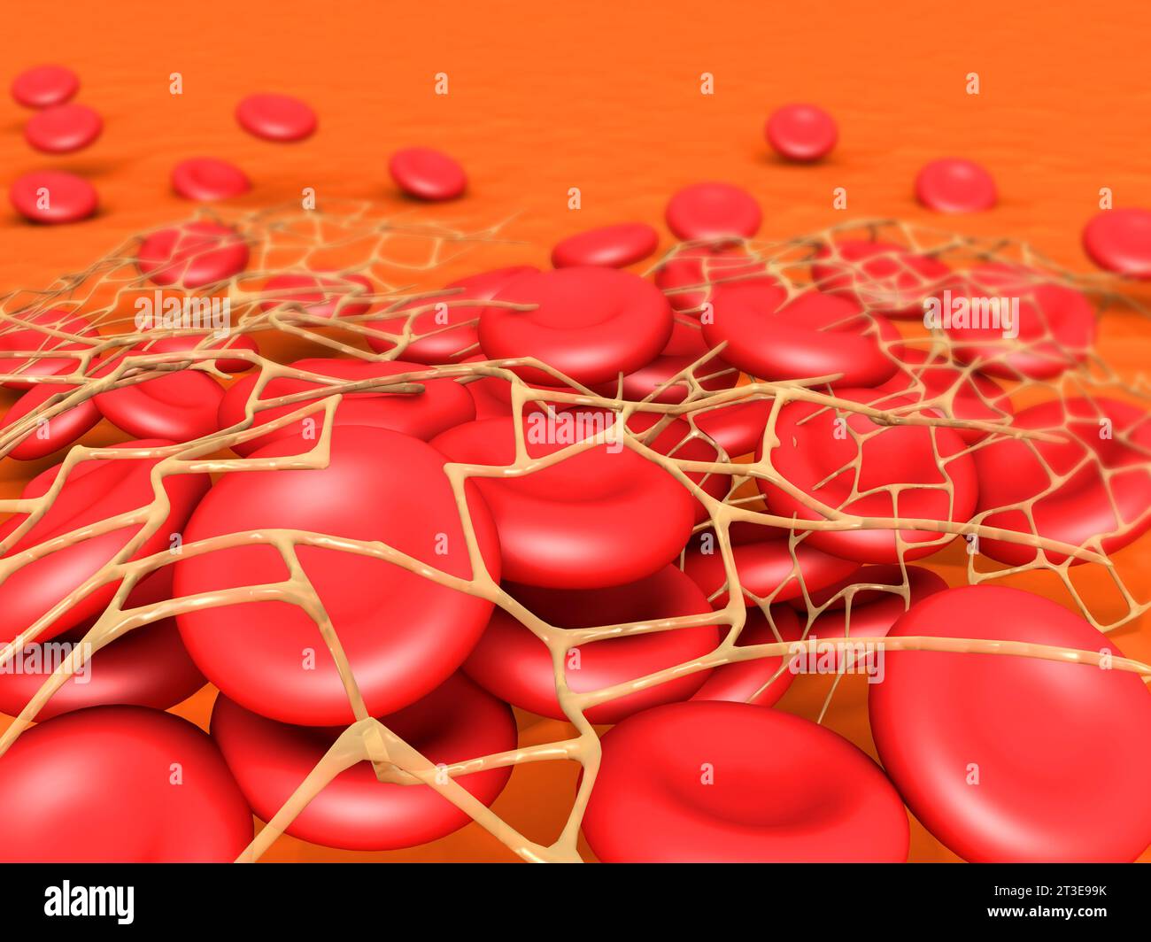 Red blood cells streaming. 3d render Stock Photo - Alamy