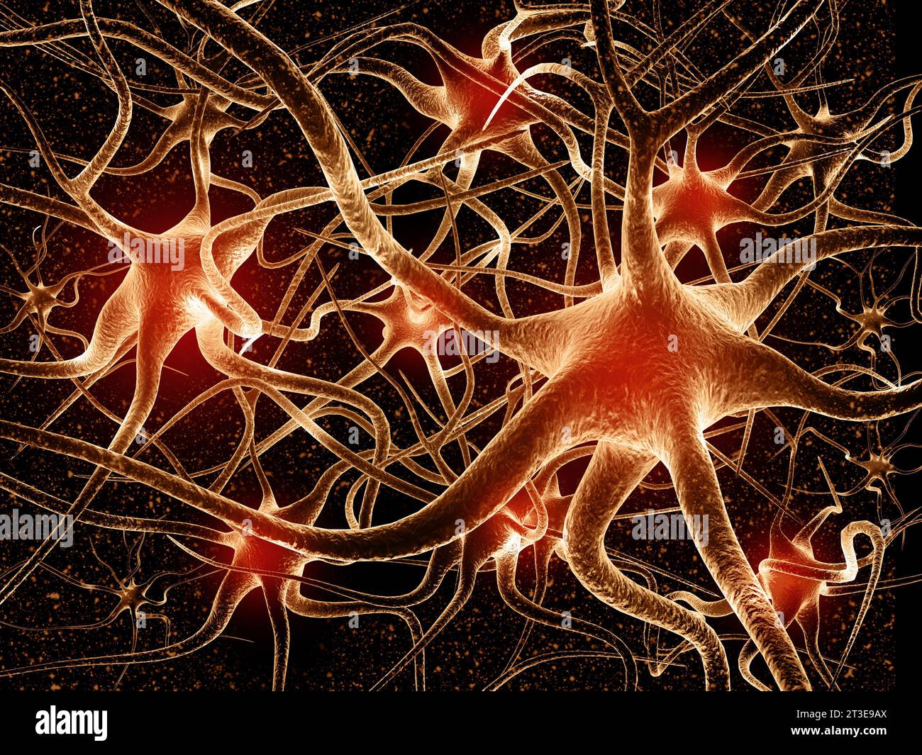 Neural network in the brain. nervous system, Neurons. 3d render Stock Photo