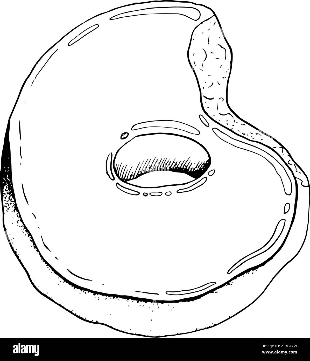 Glazed donut hand drawn black white graphic sketch Stock Vector Image