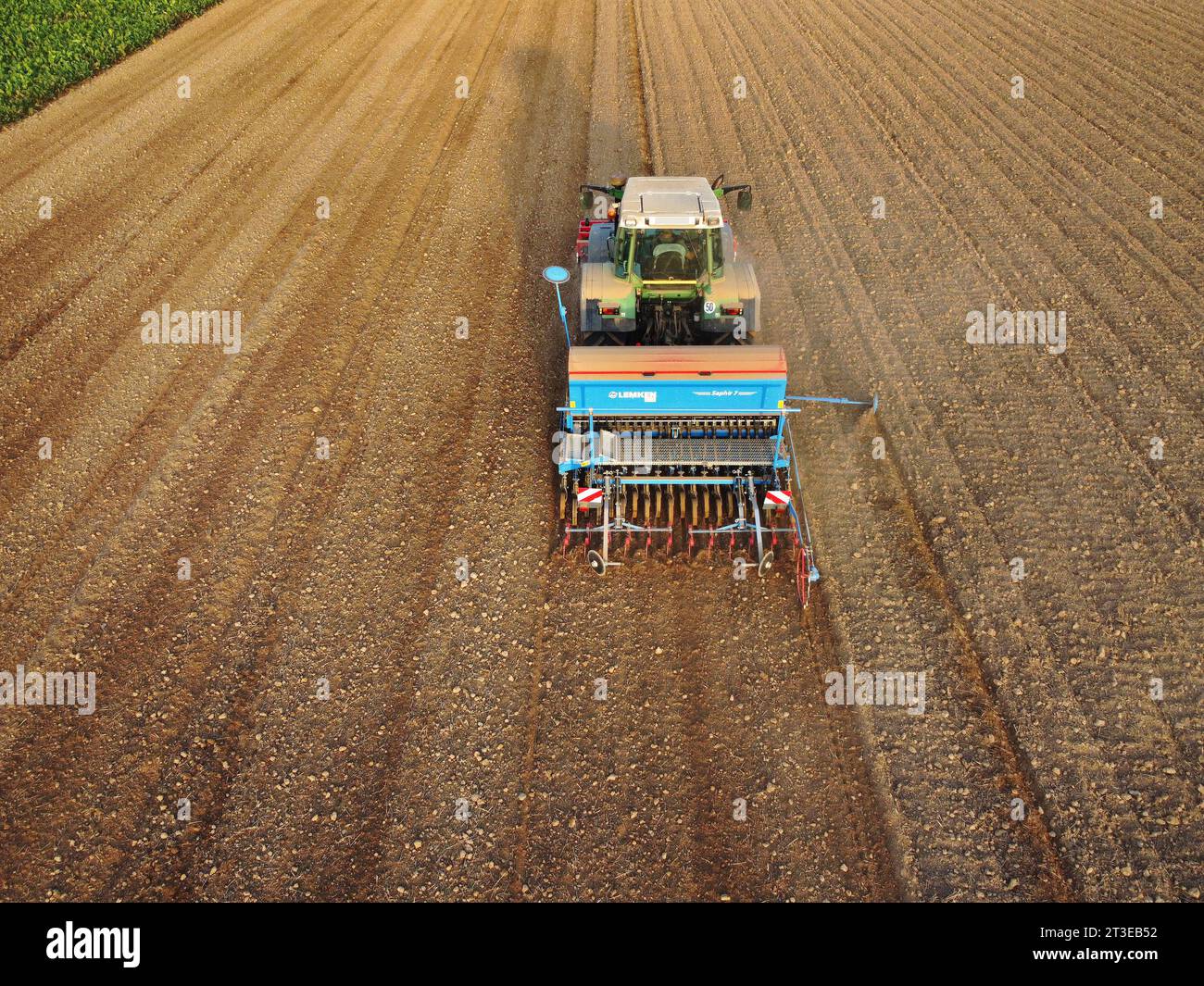Landwirtschaft-Trecker mit Drillmaschine und Egge drillt Weizen fuer
