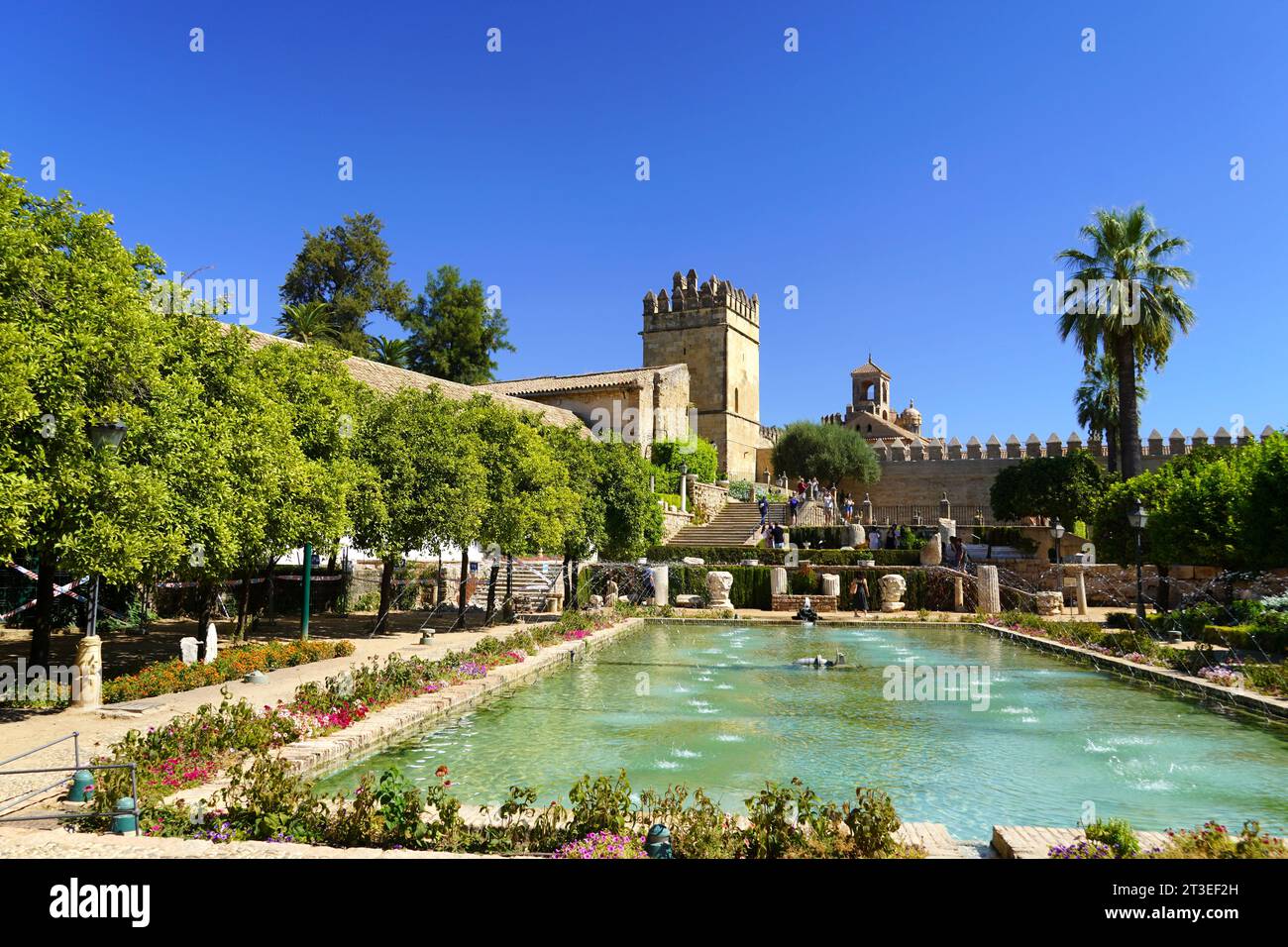 Spain, Andalusia, Cordoba: gardens of the Moorish Palace of the Alcazar de los Reyes Cristianos (Castle of the Christian Monarchs) with the Tower of t Stock Photo