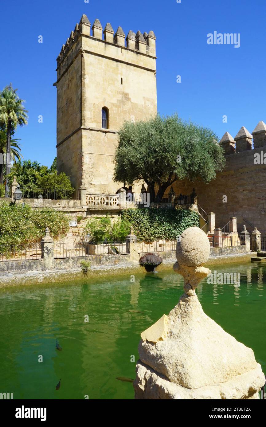 Spain, Andalusia, Cordoba: gardens of the Moorish Palace of the Alcazar de los Reyes Cristianos (Castle of the Christian Monarchs) with the Tower of t Stock Photo