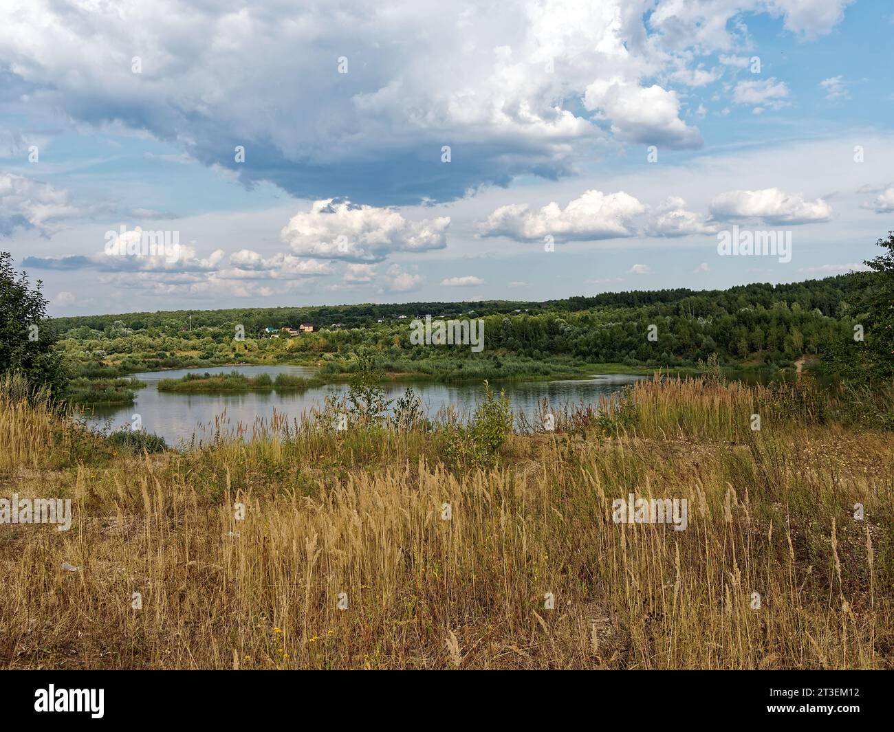 Forested river banks in summer, Russia Stock Photo