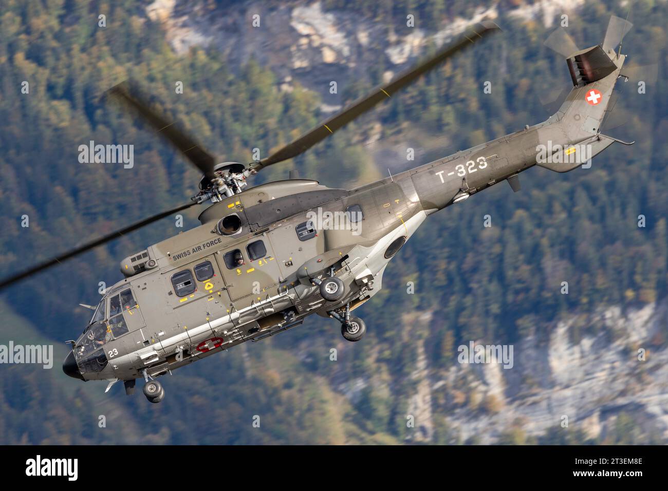 EUROCOPTER AS332 SUPER PUMA T-323 SWISS AIR FORCE Stock Photo