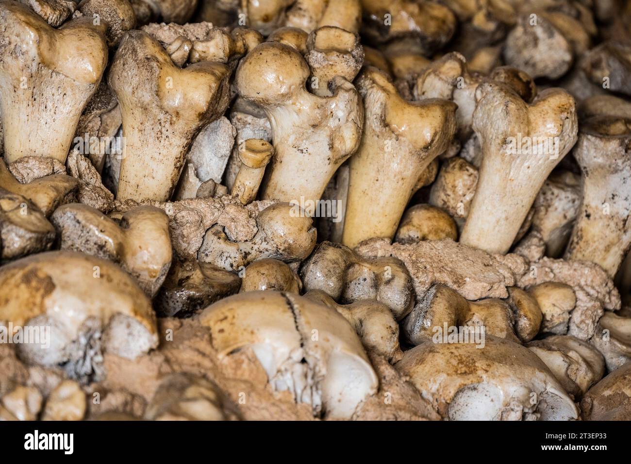 Portugal, Algarve, Alcantarilha: the Chapel of Bones (Capela dos Ossos) Stock Photo