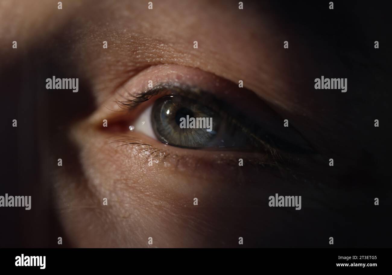 Closeup of woman green eye in dark Stock Photo