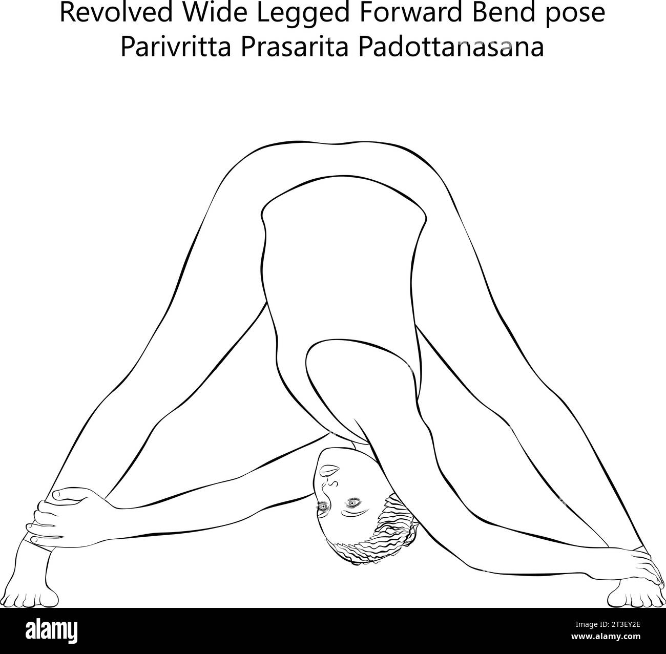 Sketch of young woman doing yoga Parivritta Prasarita Padottanasana. Revolved Wide Legged Forward Bend pose. Isolated vector illustration. Stock Vector
