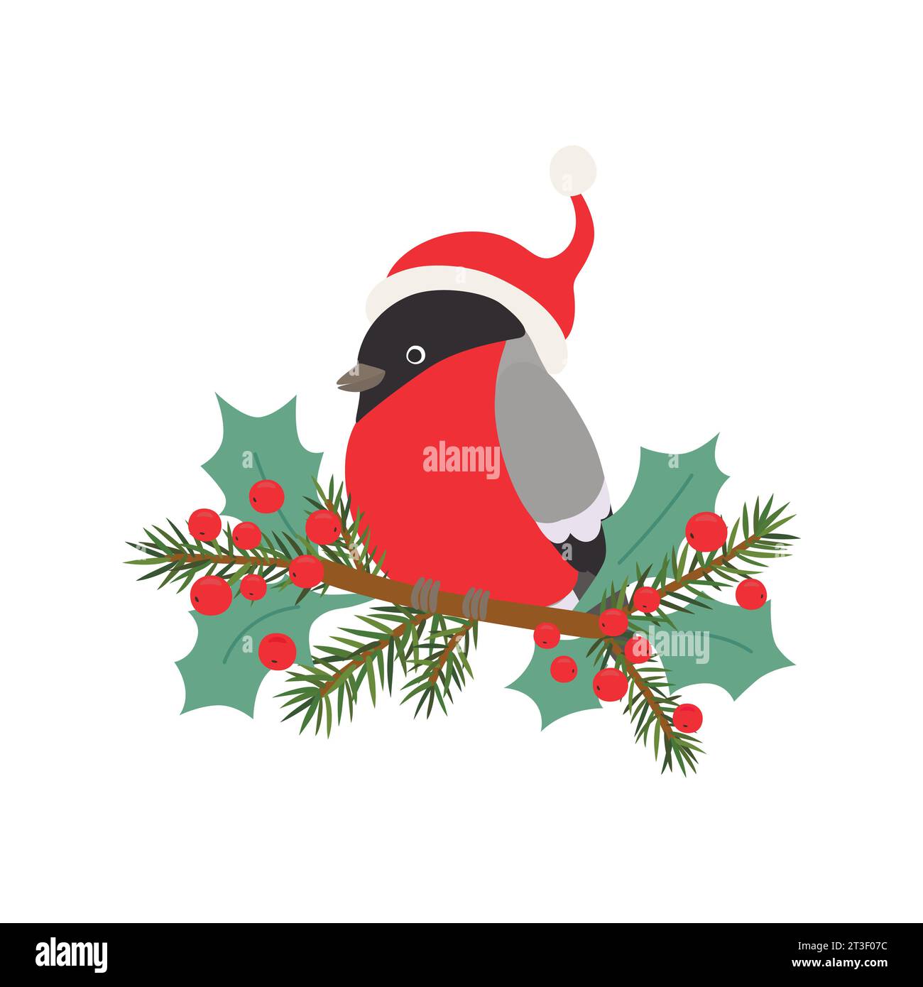 Illustration bullfinch in a Santa Claus hat on branch with fir branches ...
