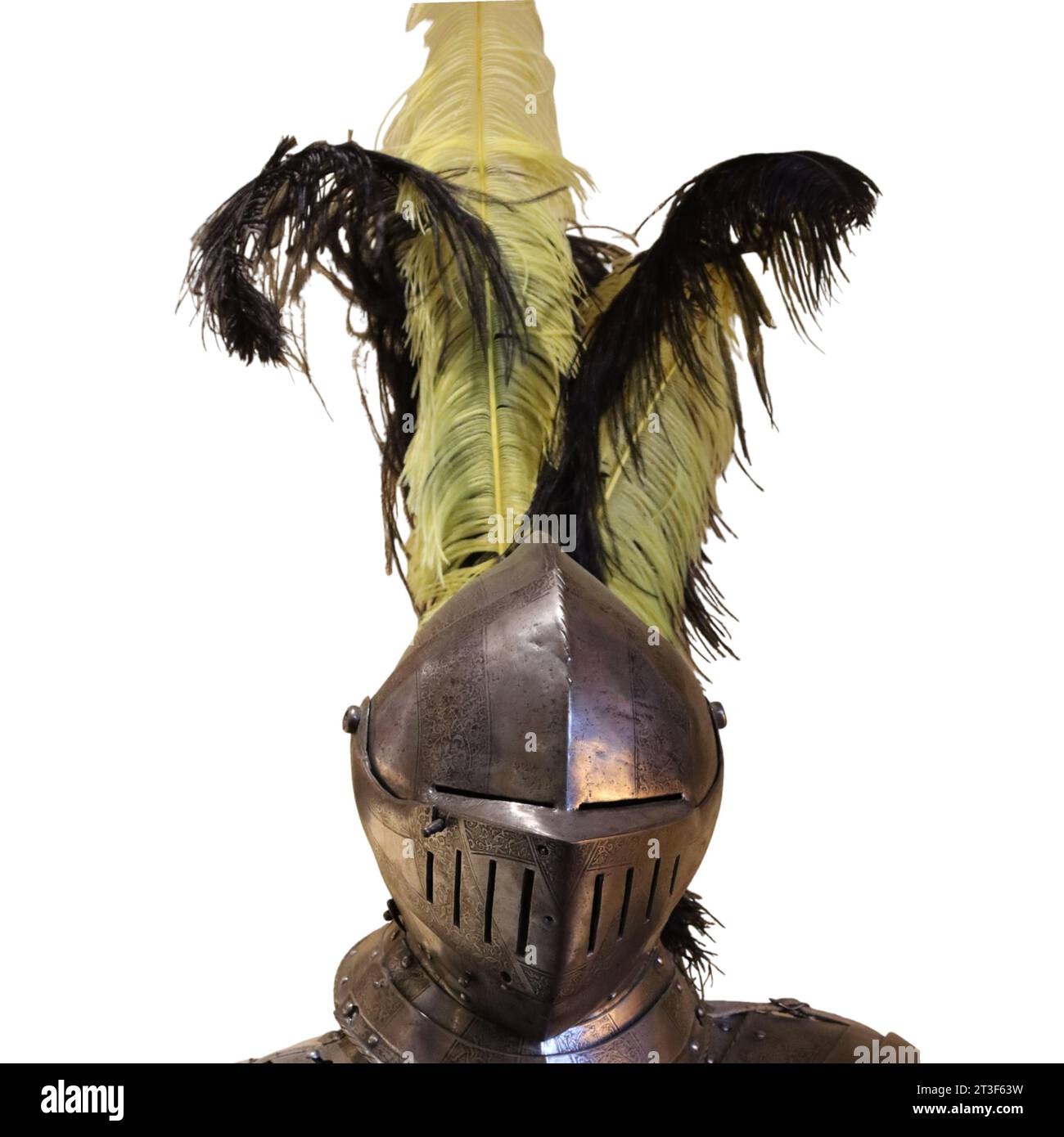 A Medieval Knight's Helmet with ornate, long feathered plumes on a