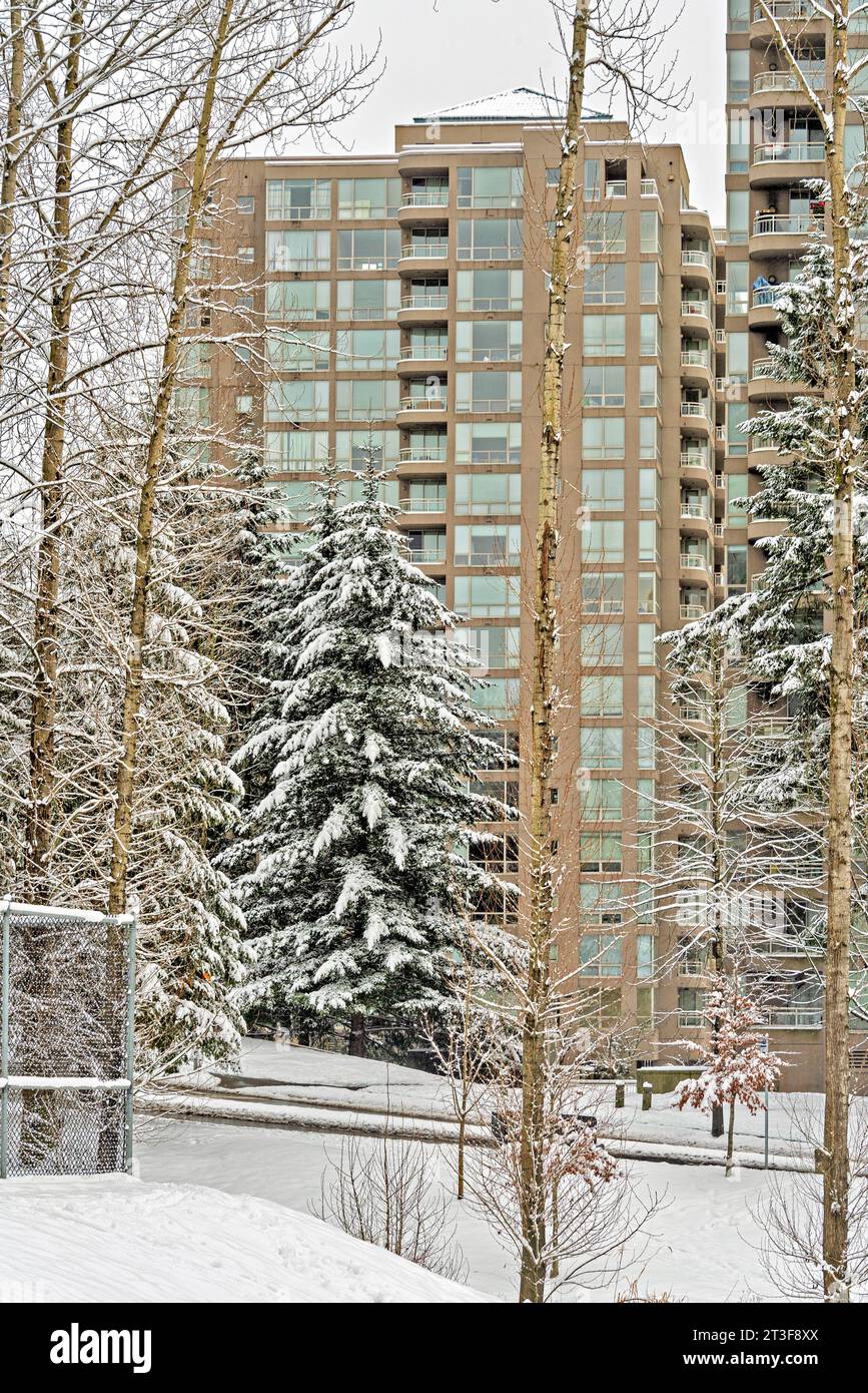 High-rise residential building on winter season Stock Photo - Alamy