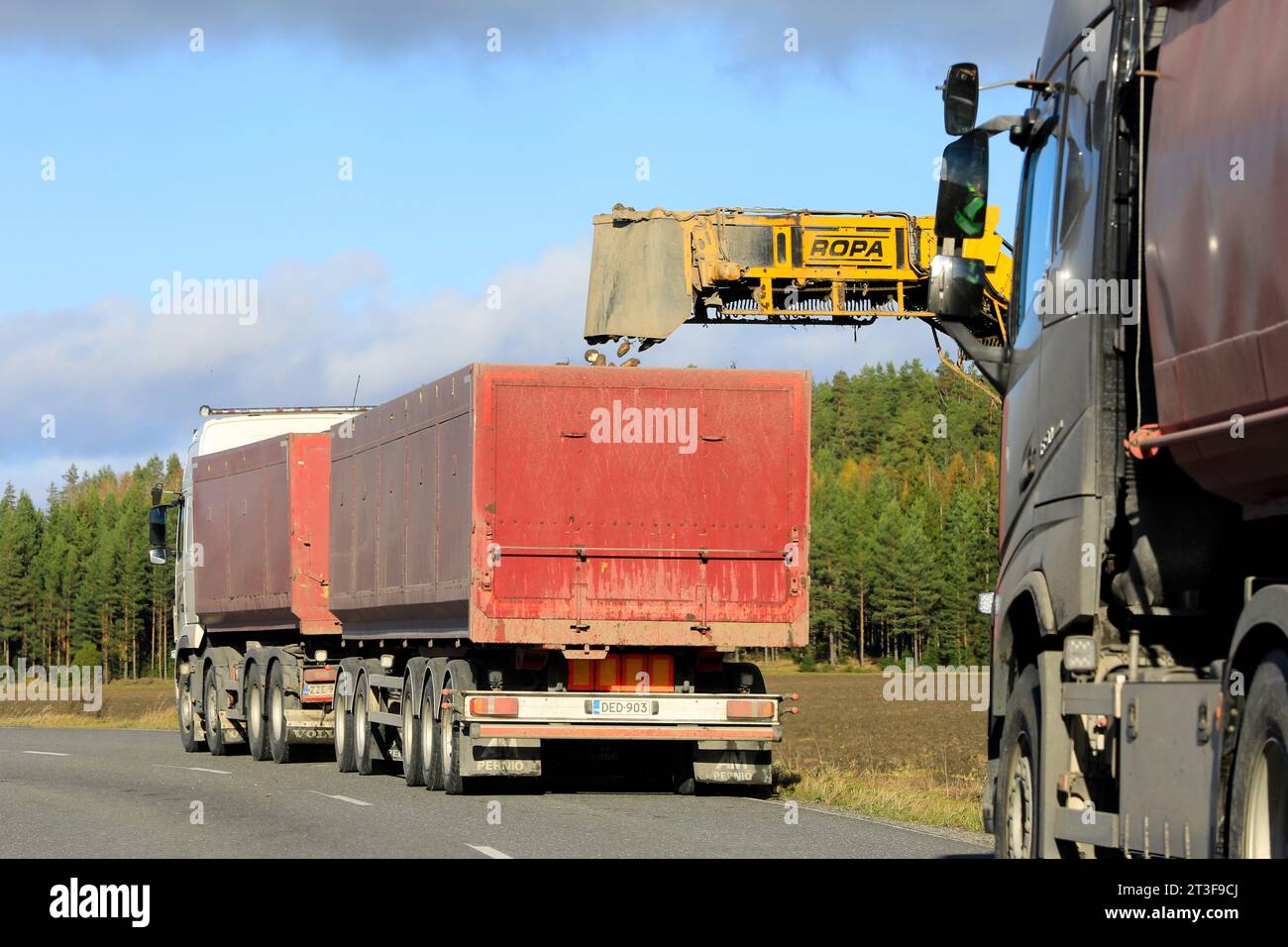 ROPA euro-Maus cleaner loader loading harvested sugar beet on truck trailer, another truck waits for loading. Rear view. Salo, Finland. Oct 15, 2023. Stock Photo