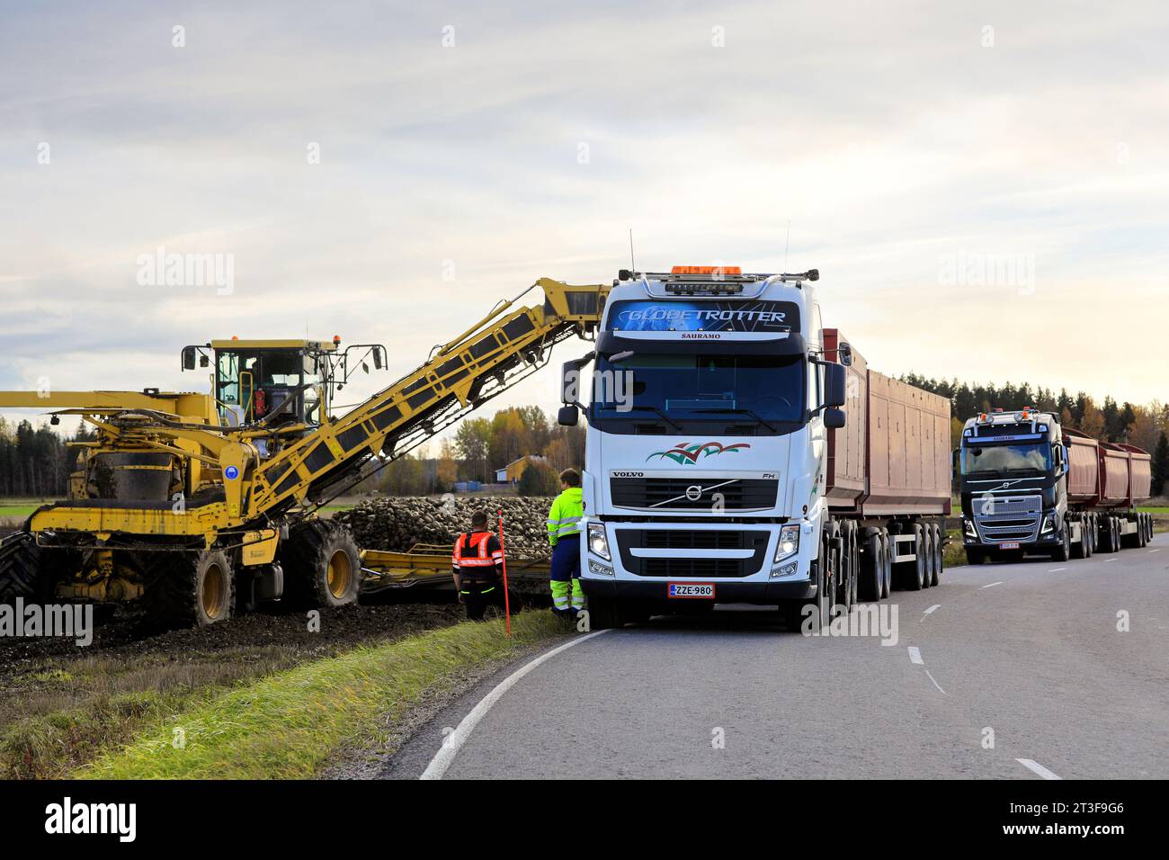 ROPA euro-Maus cleaner loader loading harvested sugar beet on Volvo FH truck trailer, another Volvo truck waits. Salo, Finland. Oct 15, 2023. Stock Photo