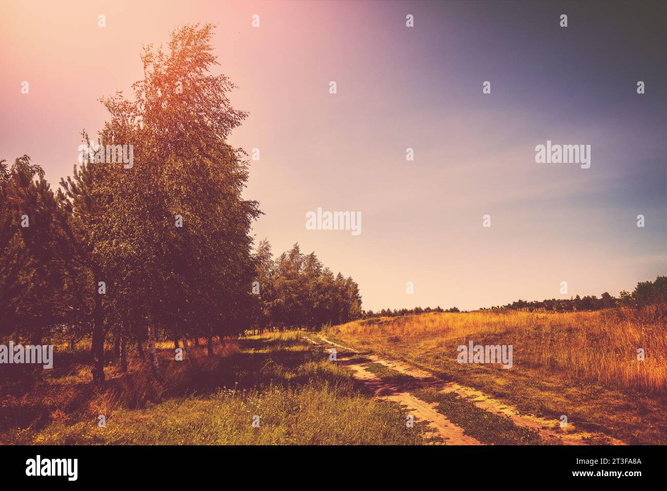 Rural landscape with sunset sky, arable field, and dirt road. The ...