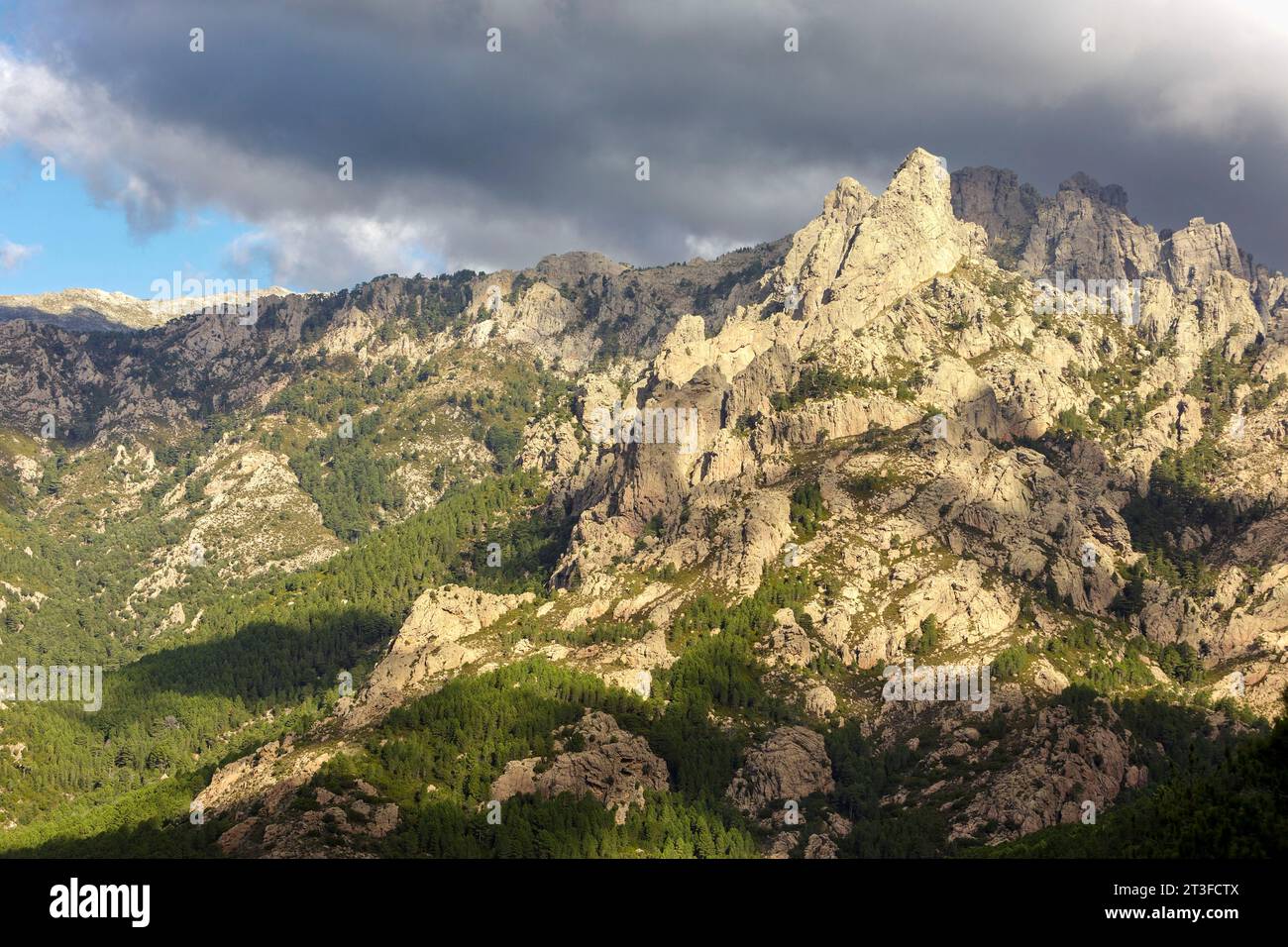 France, Corse du Sud, Quenza, Aiguilles de Bavella (Bavella spines) from Bavella pass and corsica Laricio pine trees (Pinus nigra corsicana) Stock Photo