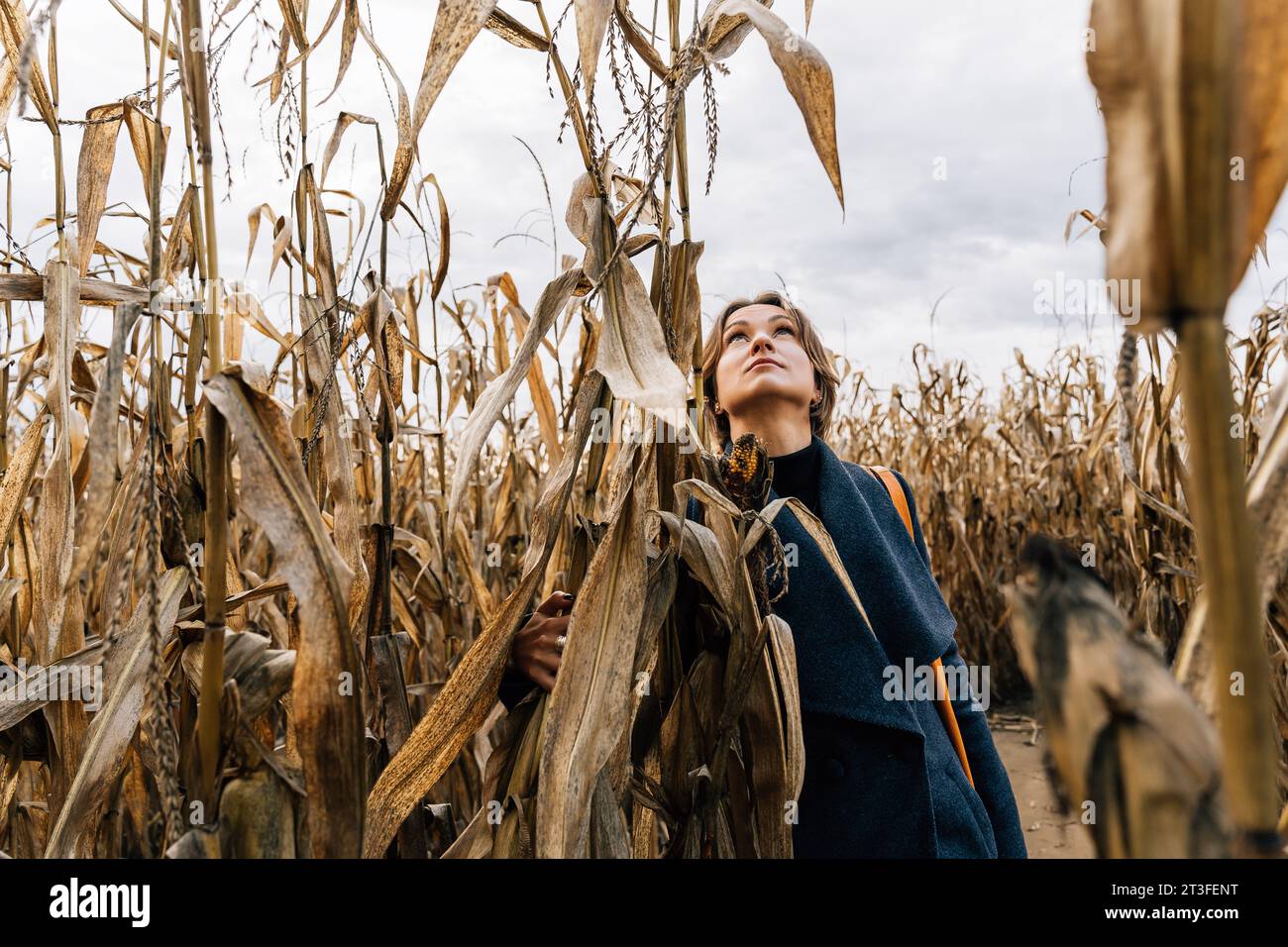 Woman in autumn in cornfield standing with her head up, looking at the sky Stock Photo