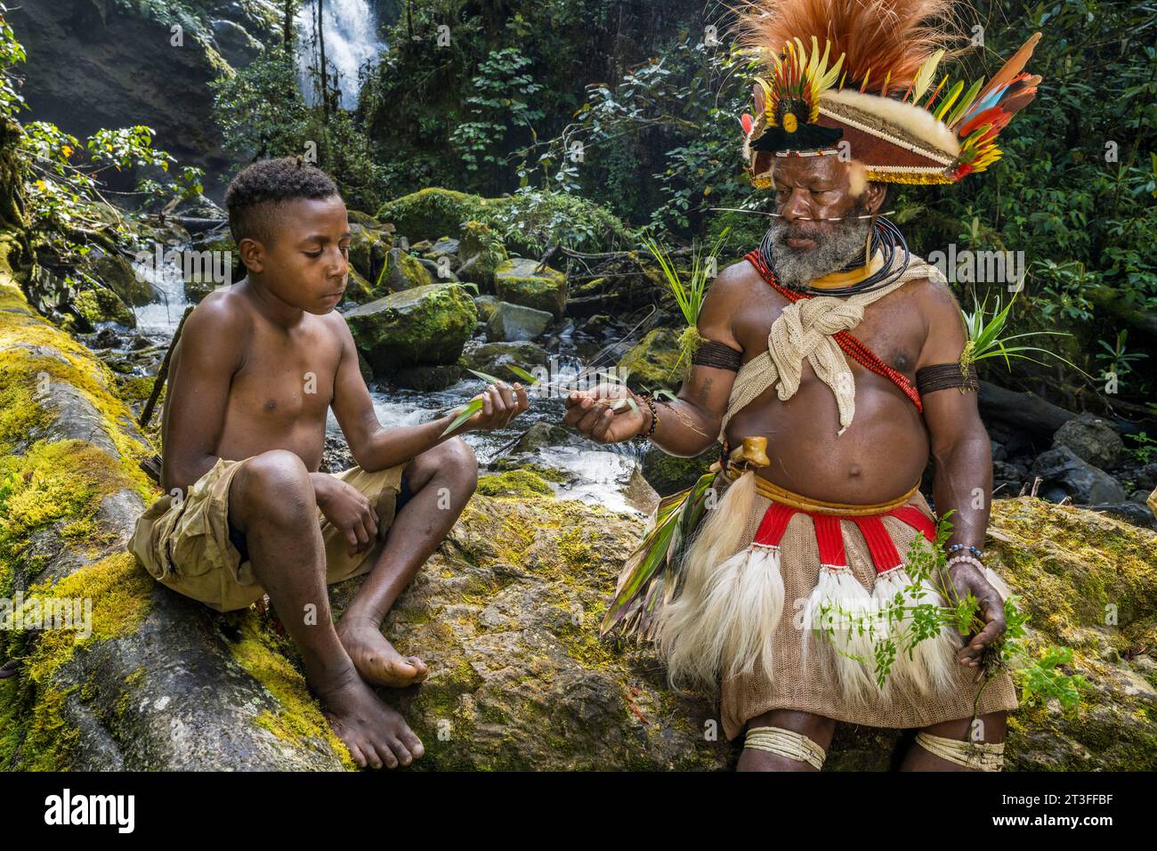 Keith Mapira Papua New Guinea, Hela province, Ambua forest, chief Mundiya Kepanga ...