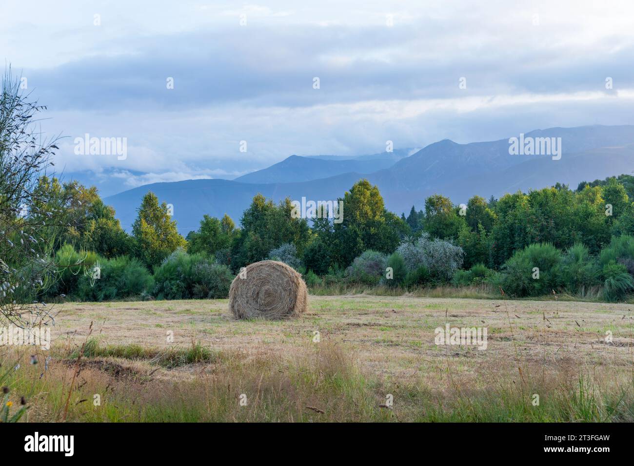 Landscape along the Camino de Santiago trail between Grandas de Salime and Fonsagrada, Asturias, Spain Stock Photo
