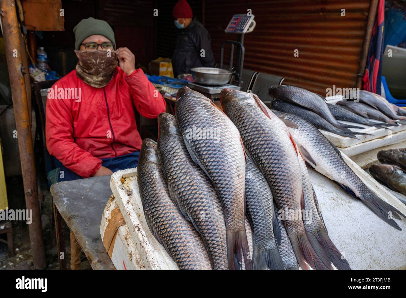 Nepal, Kathmandu, the Kuleshwar wholesale market Stock Photo Alamy