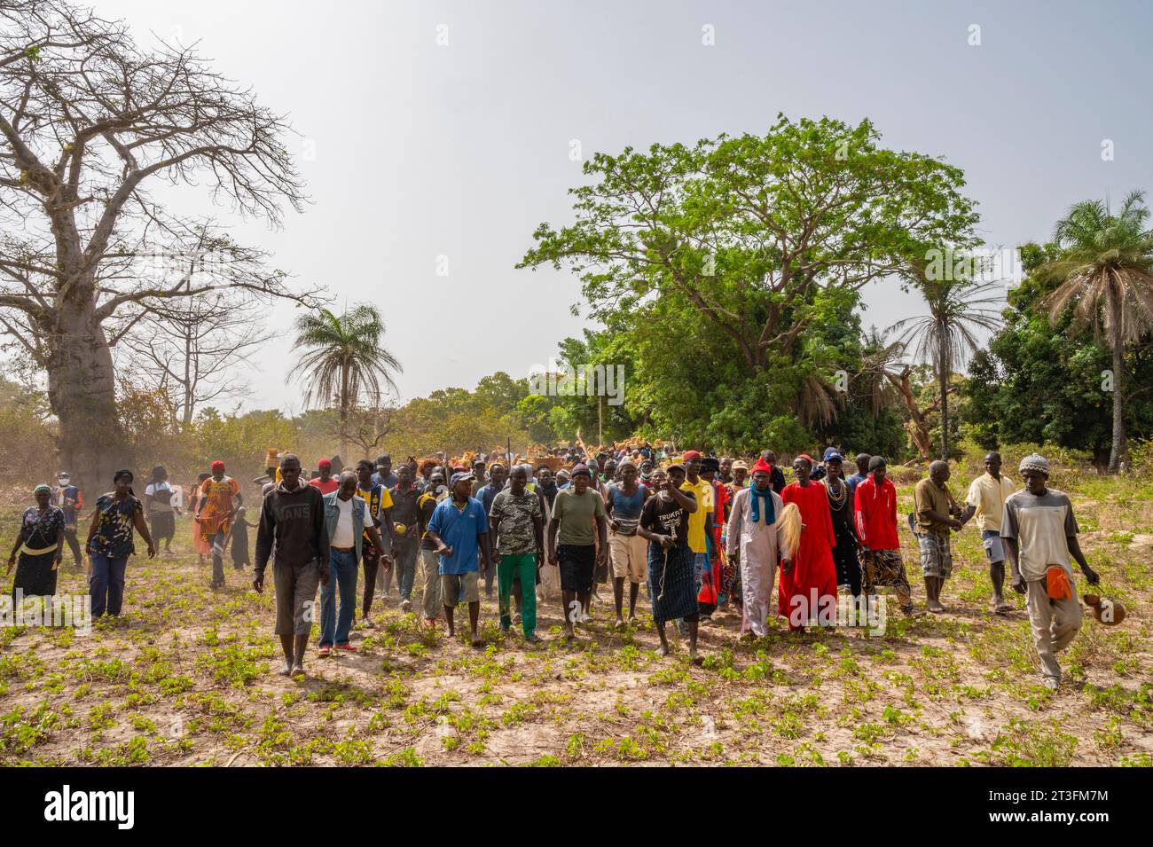 Senegal, Casamance, Ziguinchor district, crowd of the Diola ethnic